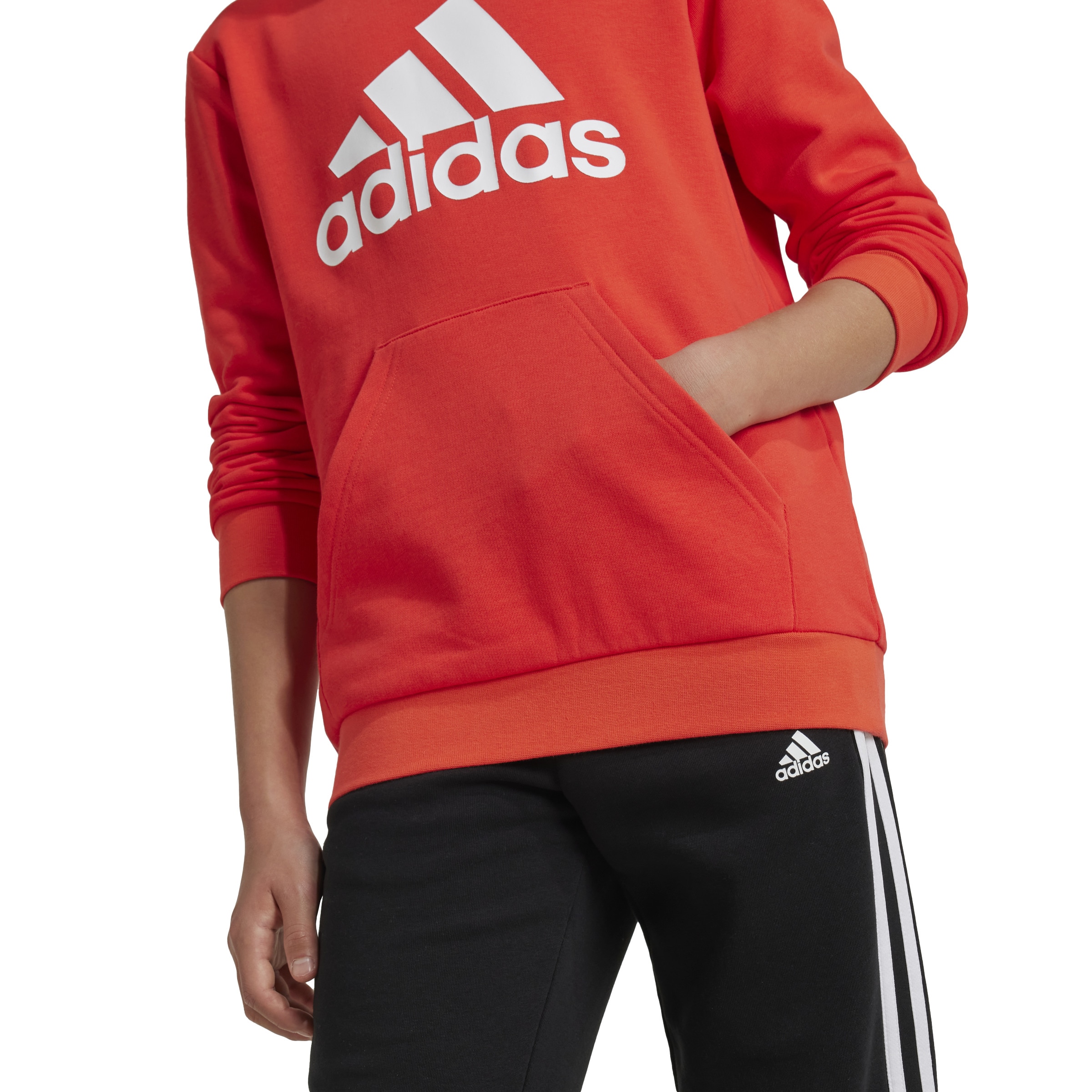 adidas Sportswear Kapuzensweatshirt »BIG LOGO ESSENTIALS COTTON HOODIE«