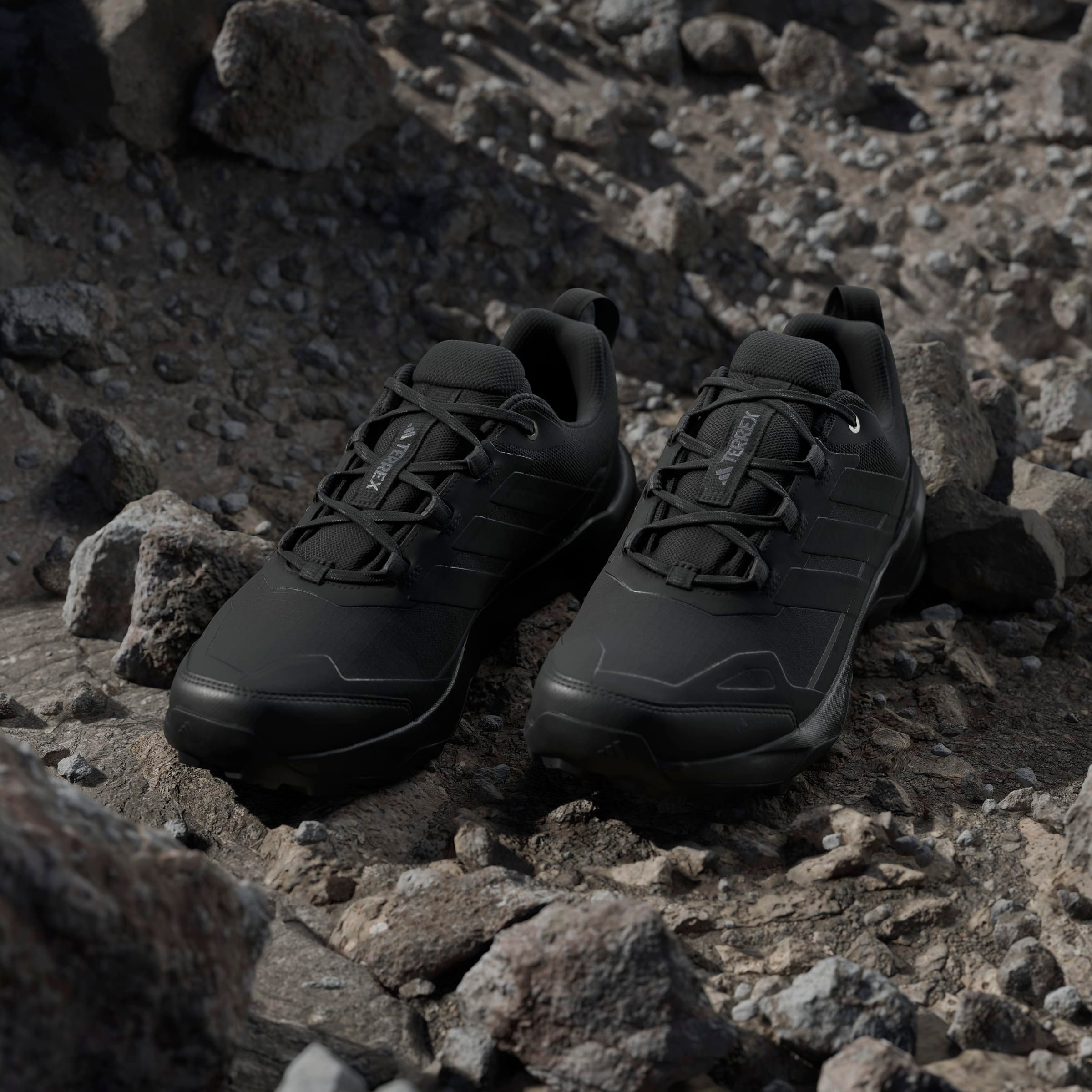 adidas TERREX Wanderschuh »TERREX SKYCHASER AX5 GORE-TEX E«, wasserdicht