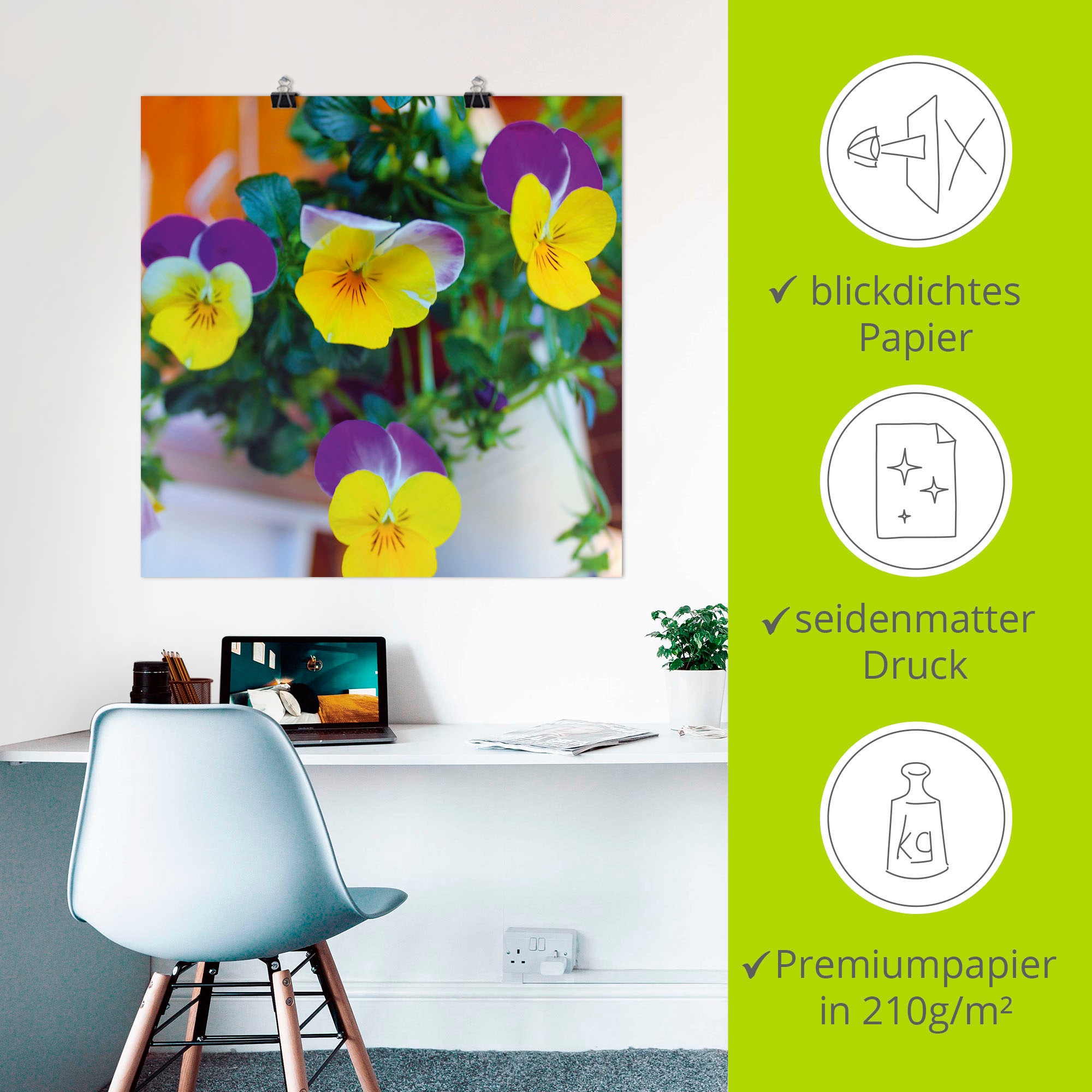 Artland Wandbild »Hornveilchen«, Blumenbilder, (1 St.), als Alubild, Leinwandbild, Wandaufkleber oder Poster in versch. Größen