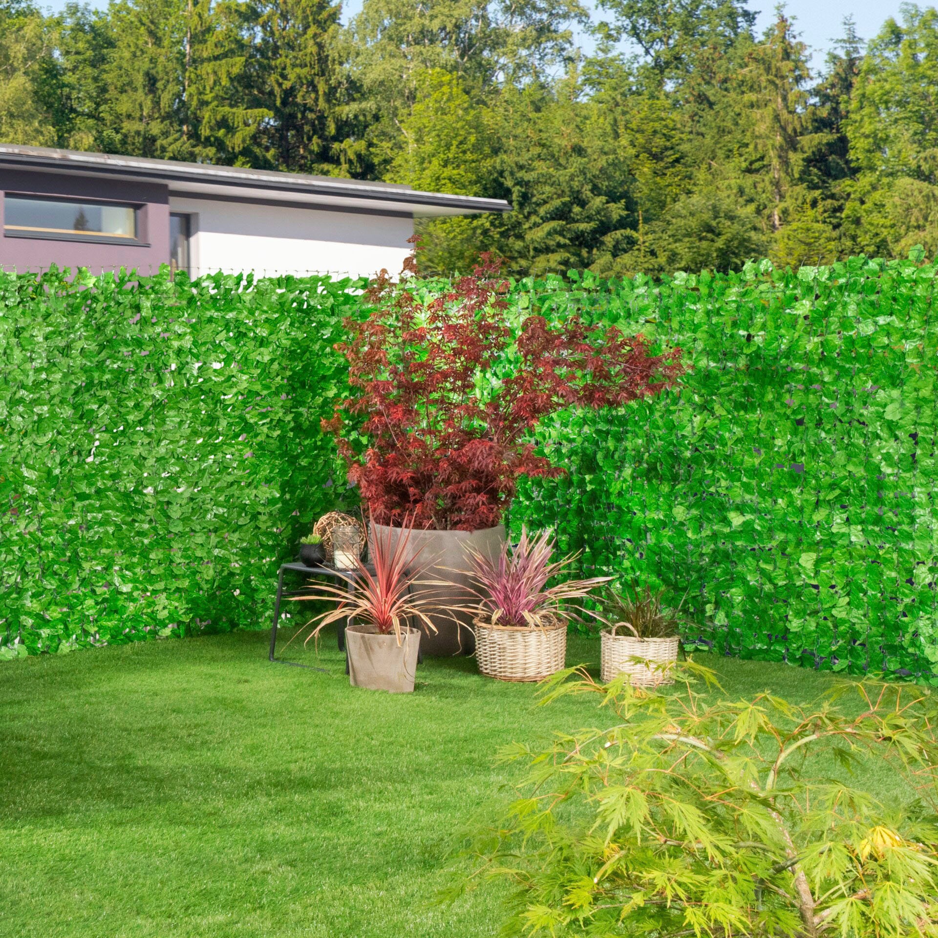 Windhager Sichtschutzzaunmatten, natürlich wirkende Weinoptik durch unregelmäßige Blattfarbe, L: 3 m