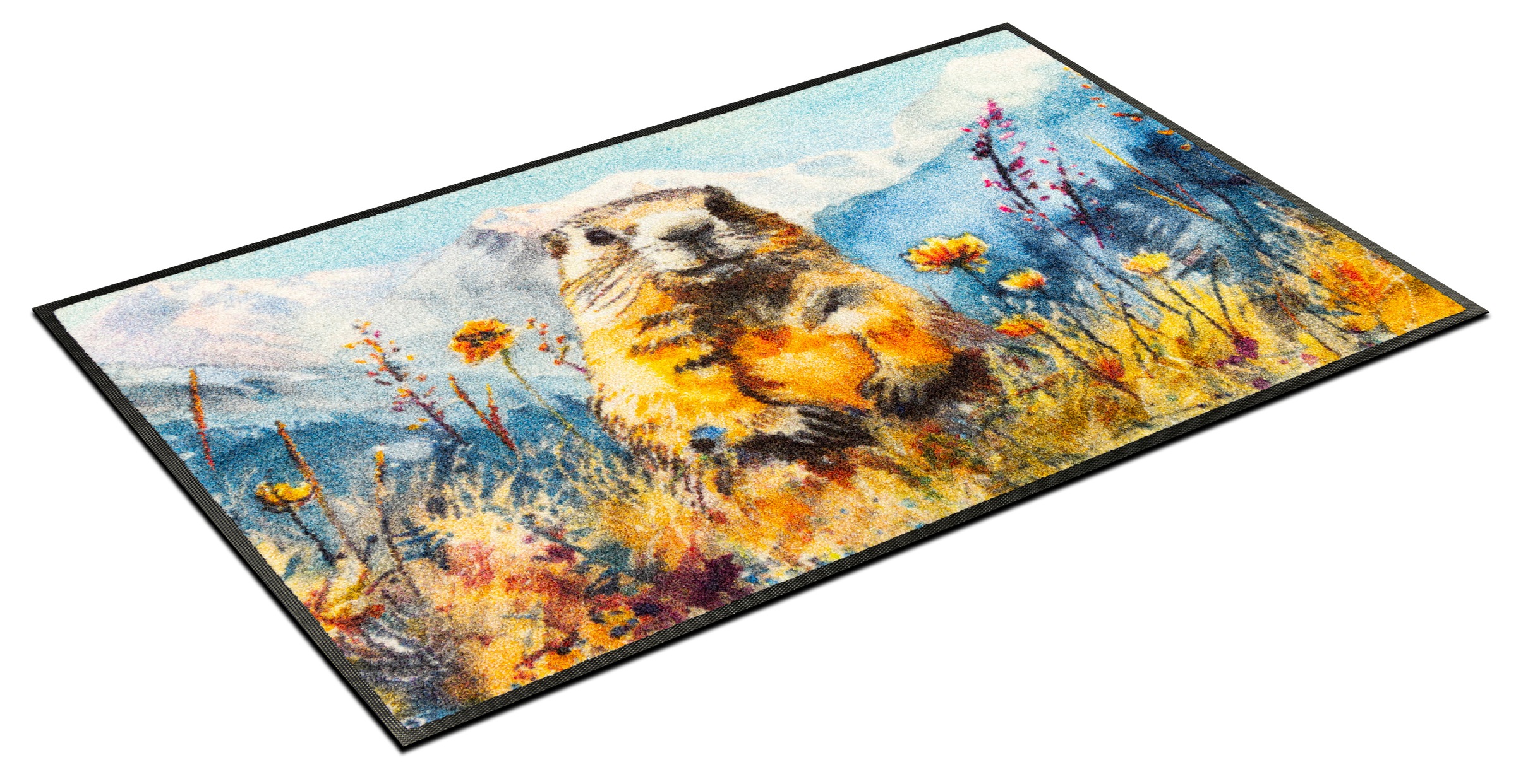 Fußmatte "Leander", bunt, B:50cm H:7mm L:75cm, Polyamid, WASH+DRY BY KLEEN-TEX, Teppiche, Fußmatte, waschbar und trocknergeeignet 3