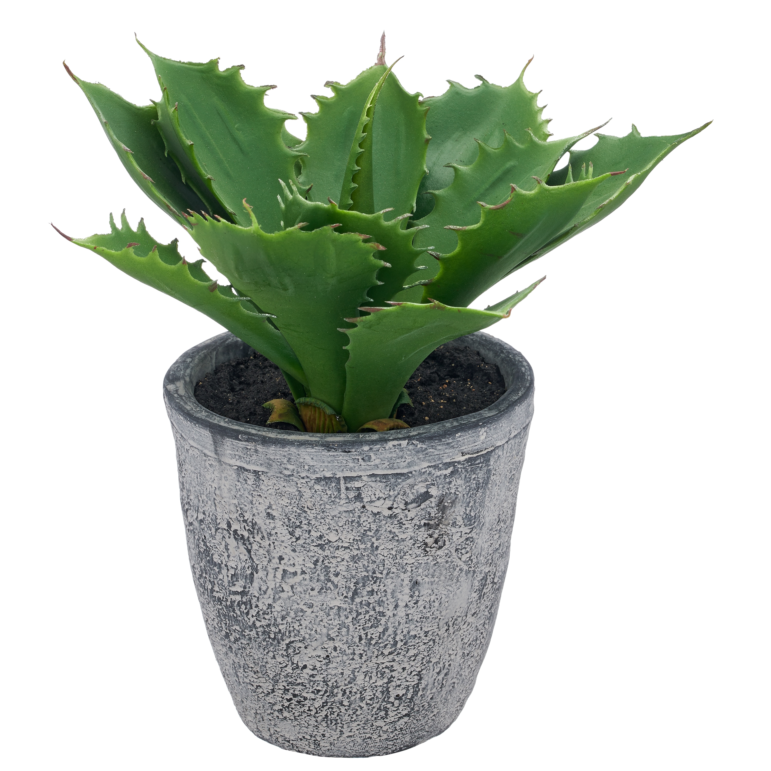 Creativ green Kunstpflanze "Echeveria" mit naturgetreuem Blattwerk