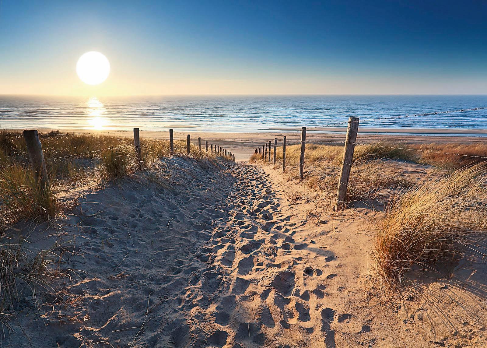 Reinders! Deco-Panel »Dünenweg zum Meer«