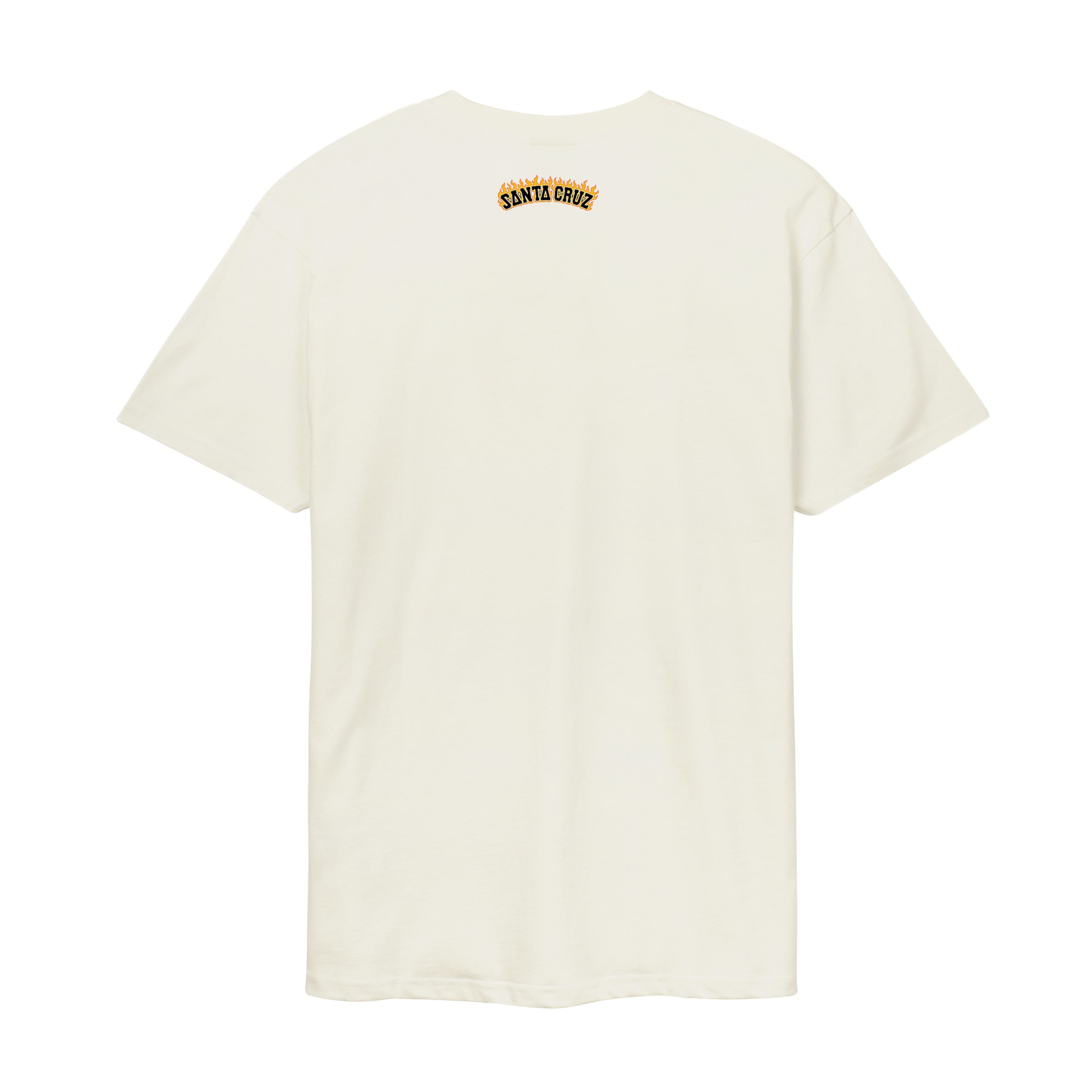Santa Cruz T-Shirt »BURNT BONE HAND T-SHIRT«, (1 tlg.)