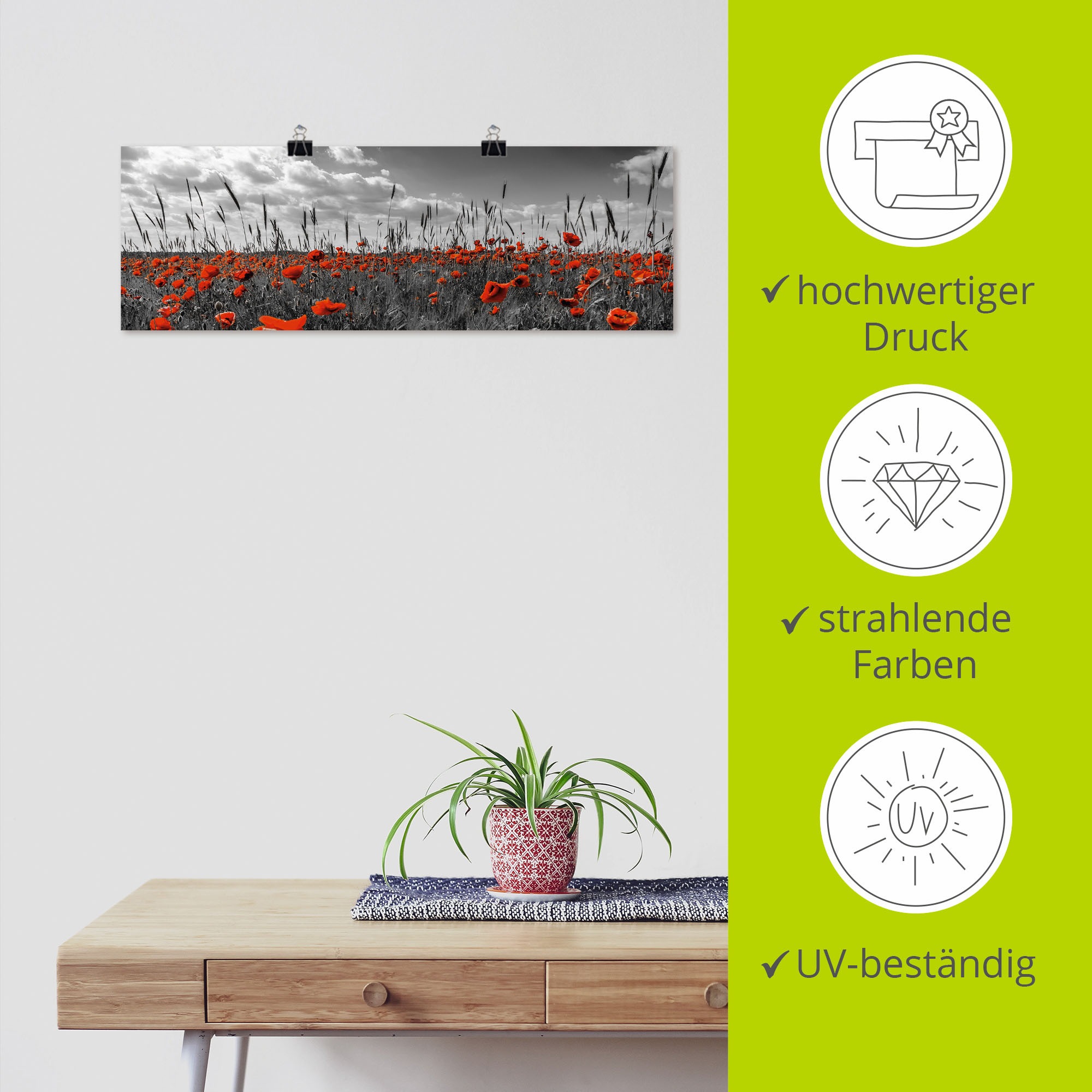 Artland Wandbild »Mohnblumenfeld in colorkey«, Blumenwiese, (1 St.), als Alubild, Leinwandbild, Wandaufkleber oder Poster in versch. Größen