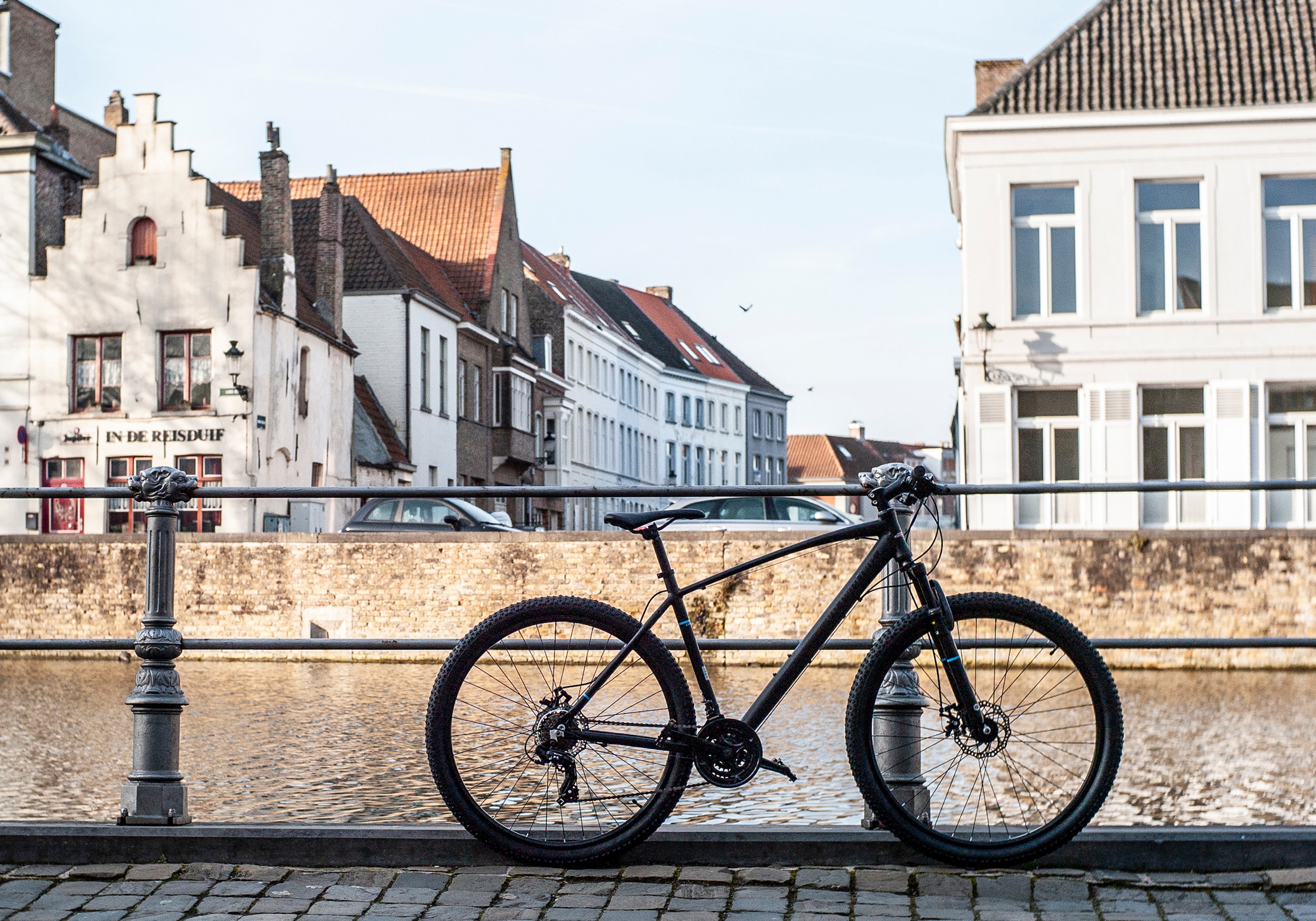 KS Cycling Mountainbike »Larrikin«, 21 Gang, Shimano, Tourney Schaltwerk, Kettenschaltung, für Herren, Kettenschaltung