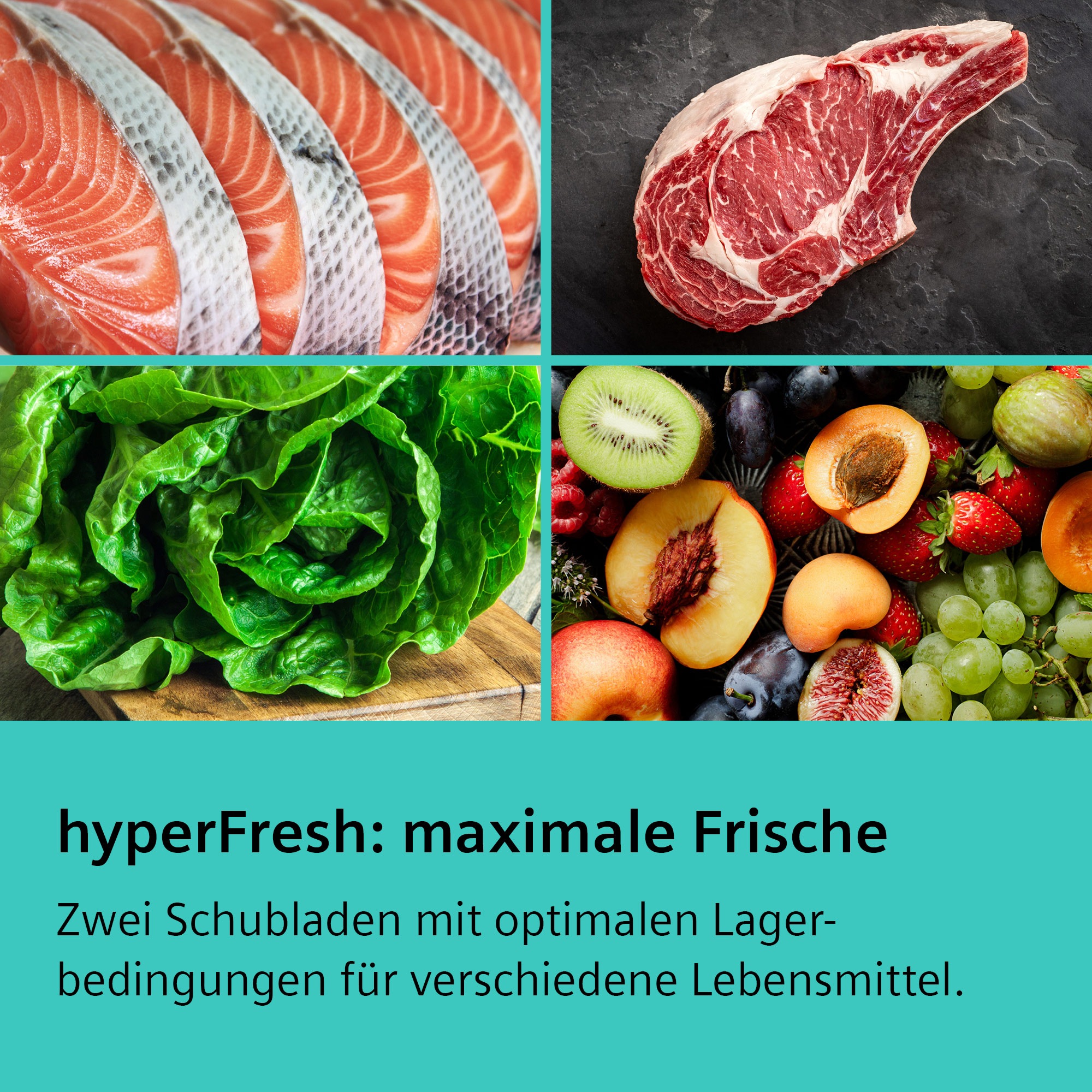 SIEMENS Kühl-/Gefrierkombination iQ500 "KG39N4X1F" 203 cm hoch 60 cm breit günstig online kaufen