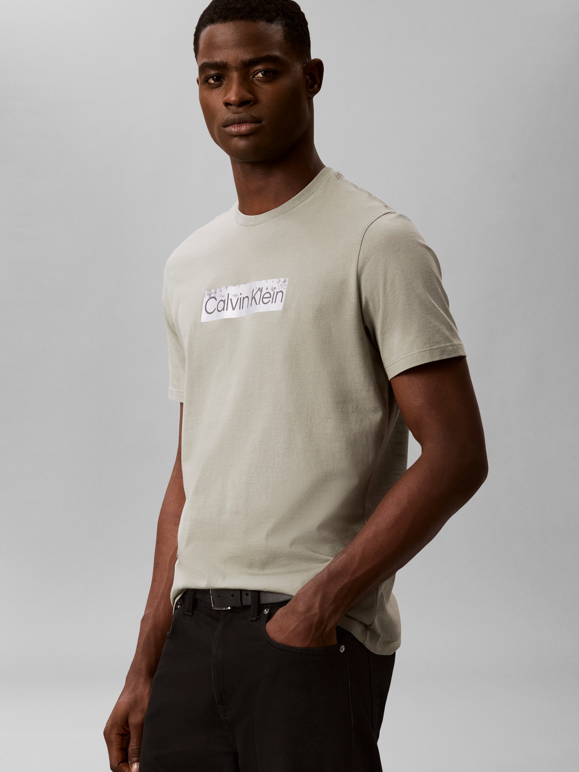 Calvin Klein T-Shirt Reine Baumwolle, Regular Fit, Glanzdruck