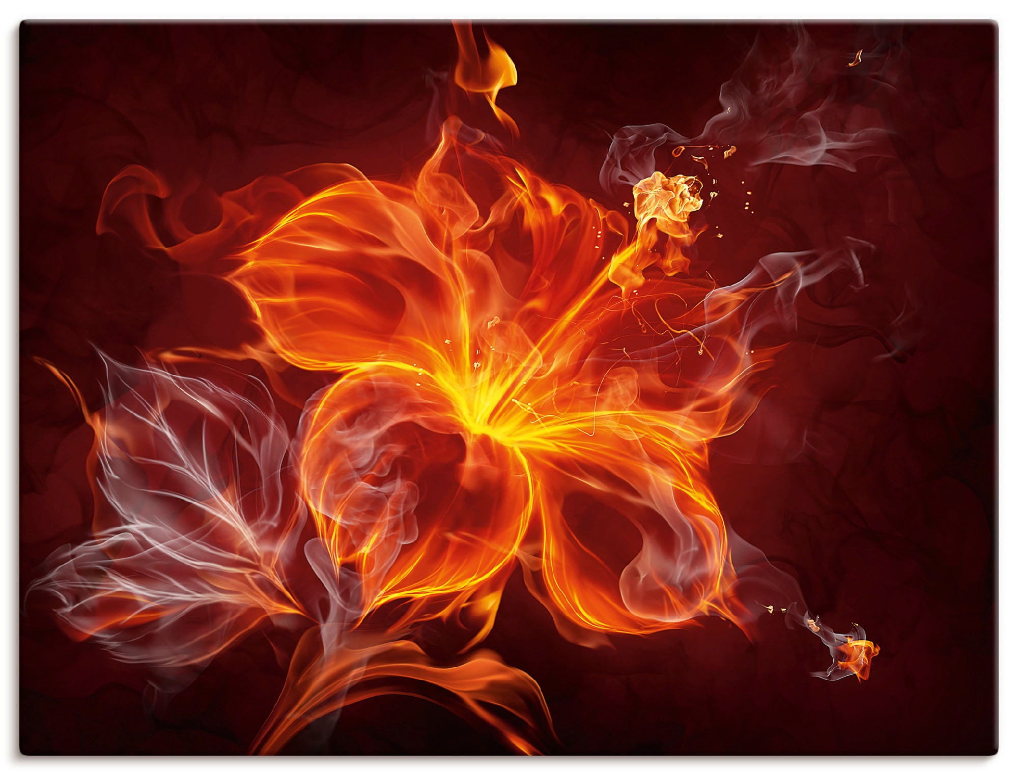 Artland Paveikslas »Feuerblume« Blumen (1 St.)...