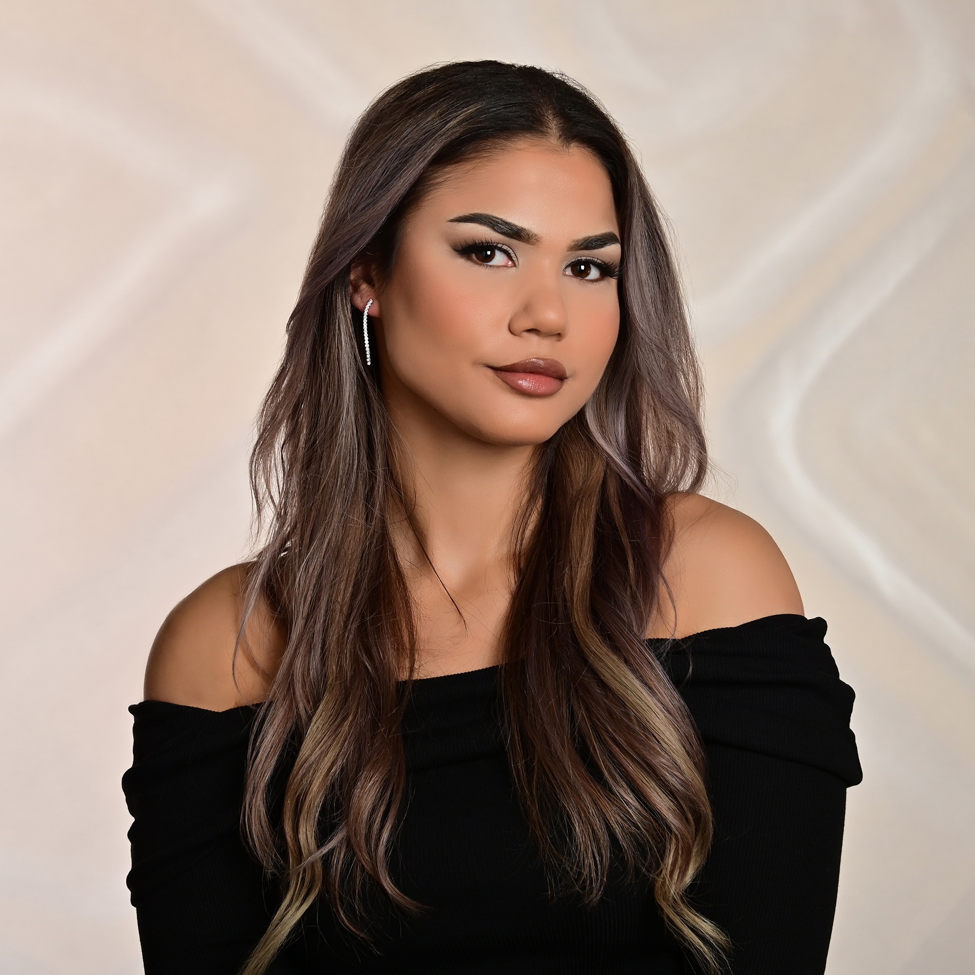 Adelia´s Paar Ohrhänger "Damen Ohrringe – Ohrstecker aus 925 Silber mit Zir günstig online kaufen