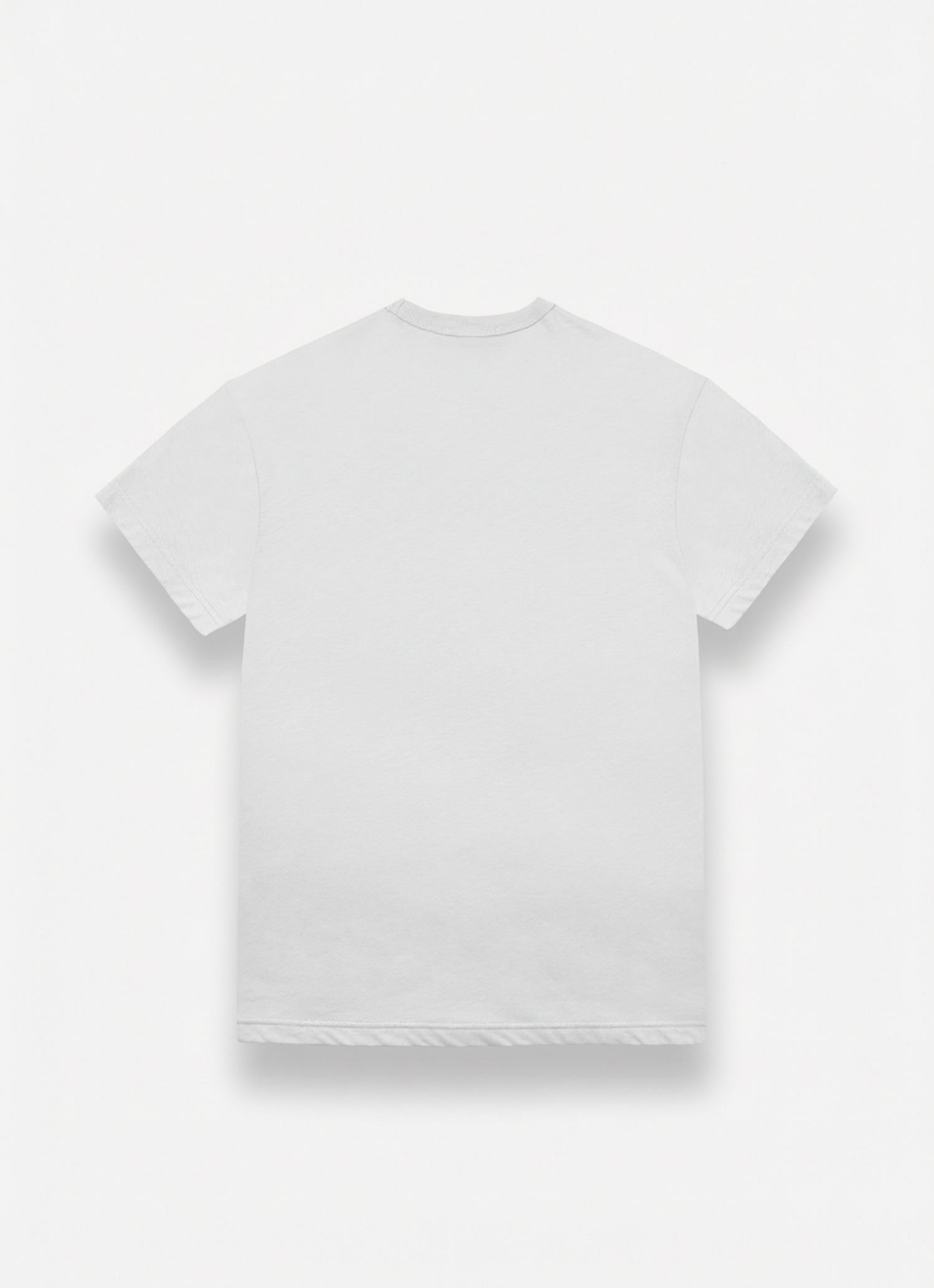 Colmar T-Shirt "MENS T-SHIRT" mit Logo, Rundhals, regular fit günstig online kaufen