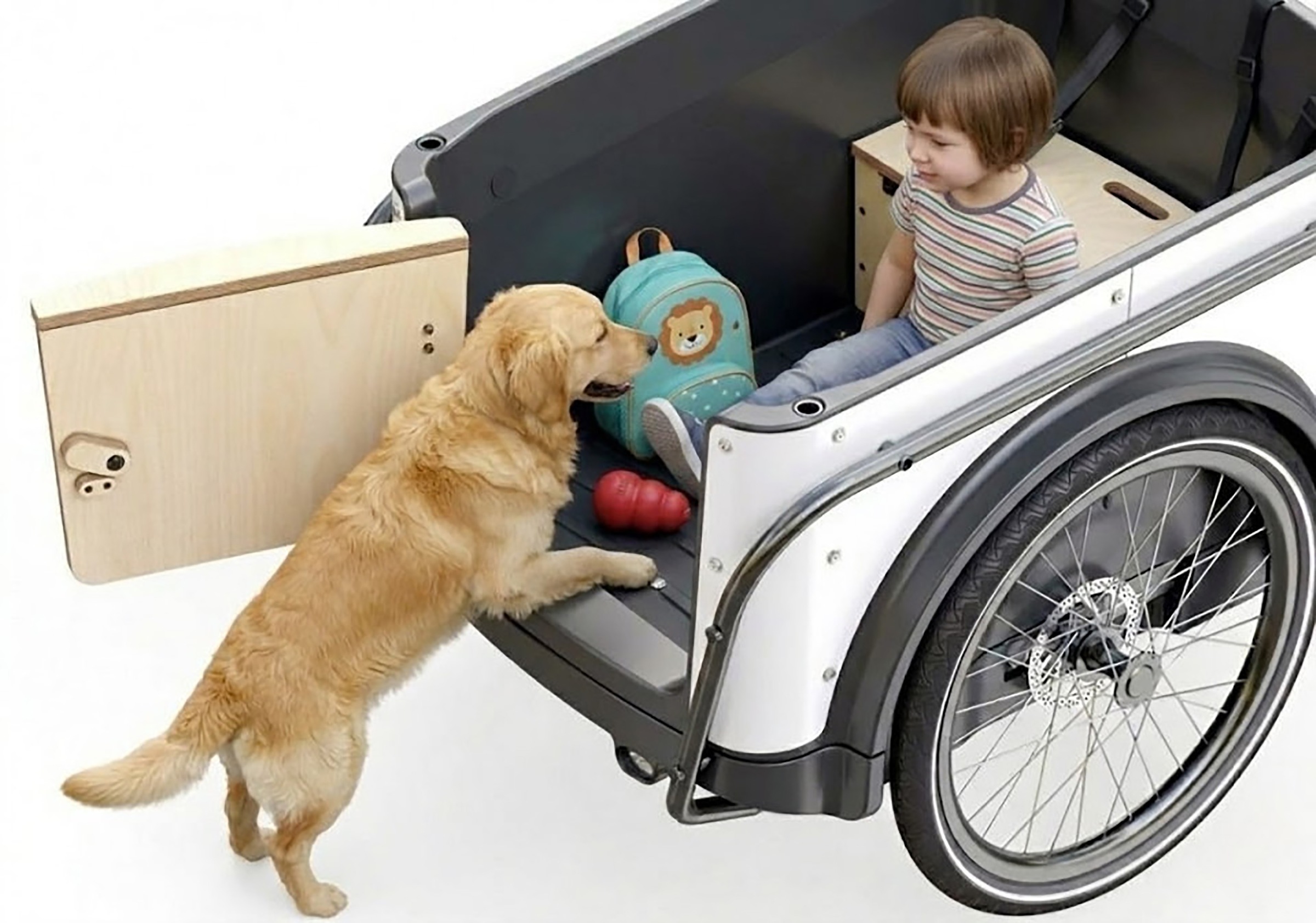 Royal Cargo Bikes »Cargo 3W Premium 17,5Ah / 630 Wh 24 / 26 Zoll grau« 7 Gang Shimano Nexus Schaltwerk Nabenschaltung Mittelmotor 250 W