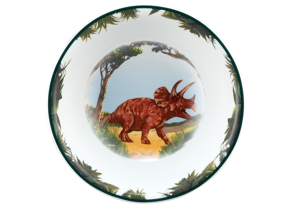 Seltmann Weiden Kinderschüssel "Schüssel rund 16 cm" 1 Stk. aus Porzellan Schüssel mit Dino - Design