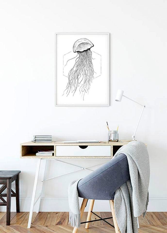 Komar Poster »Jellyfish White«, Tiere, (1 St.), Kinderzimmer, Schlafzimmer,  Wohnzimmer | BAUR