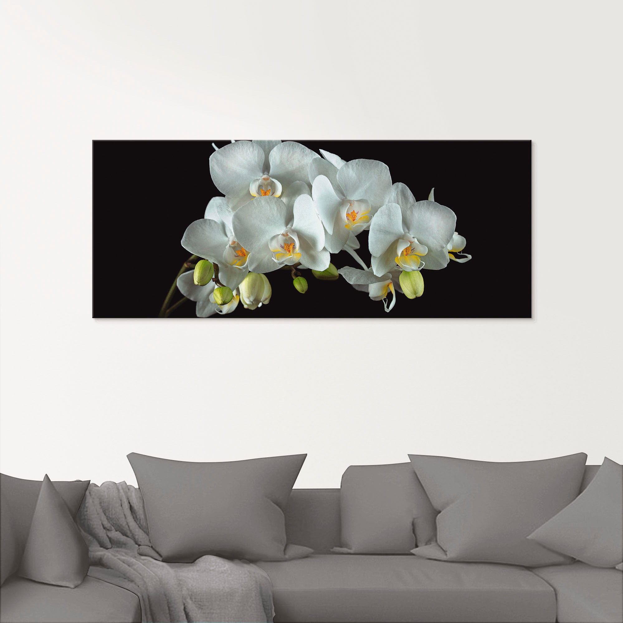 Glasbild ARTLAND "Weiße Orchidee auf schwarzem Hintergrund", weiß (farbe bild(er): weiß), B:125cm H:50cm, Bilder, in verschiedenen Größen 2