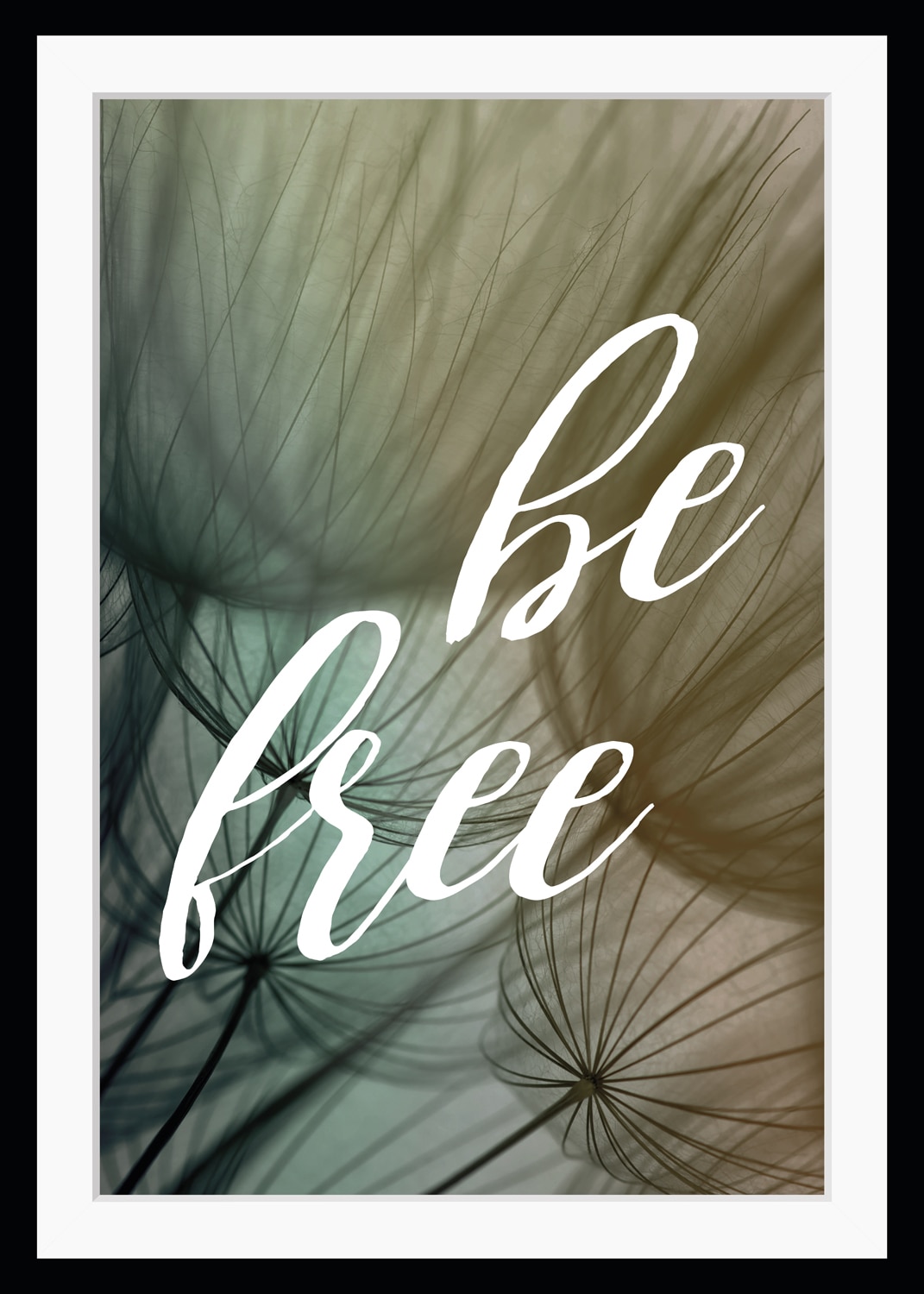 queence Bild "be free", Sprüche & Texte, gerahmt, Pusteblume, Spruch günstig online kaufen