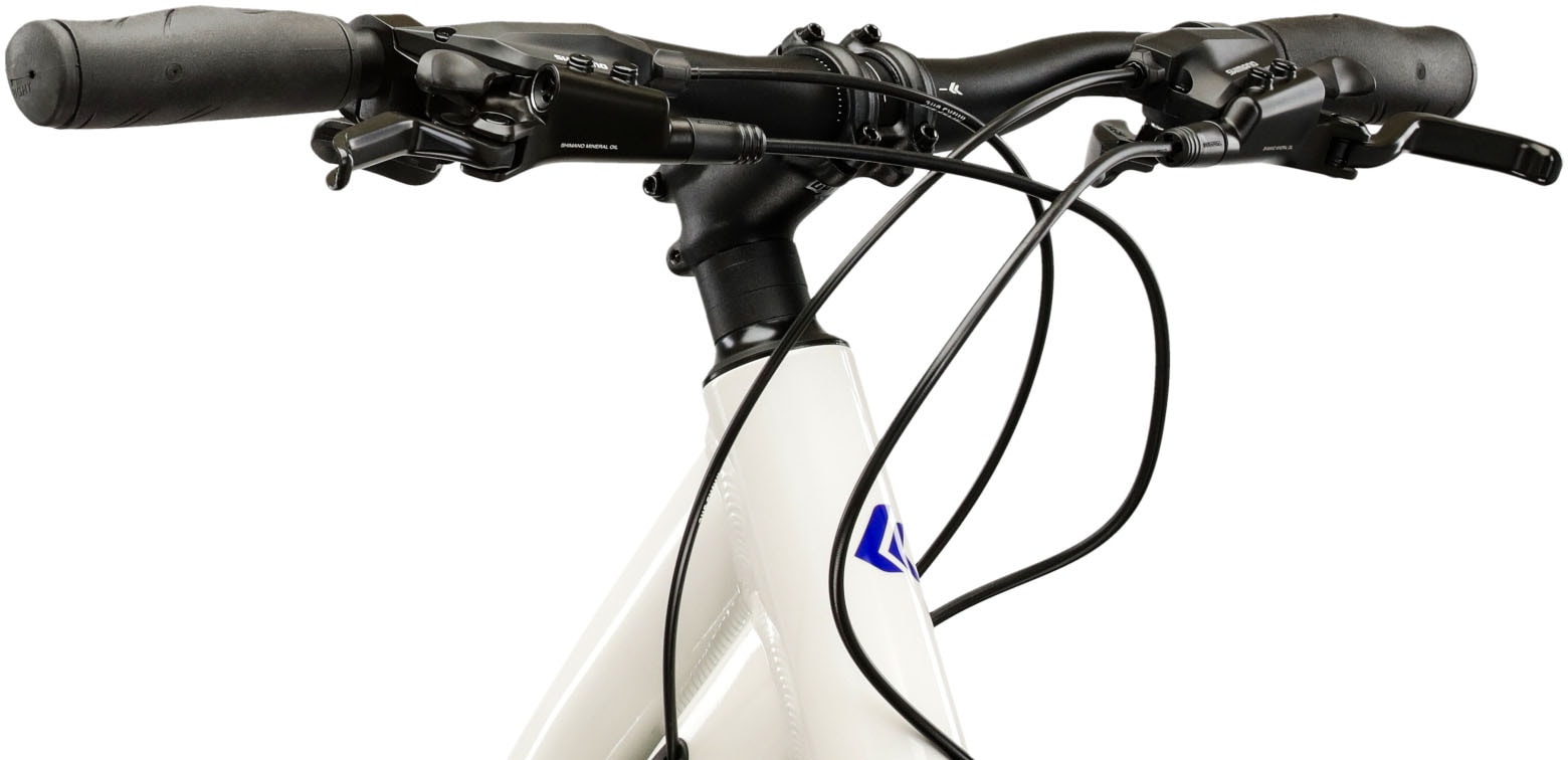 Kross Crossrad »KROSS Crossrad Damen 28" Evado 4.0 grau 16 Gänge« 16 Gang Shimano ACERA M3020 Schaltwerk Kettenschaltung