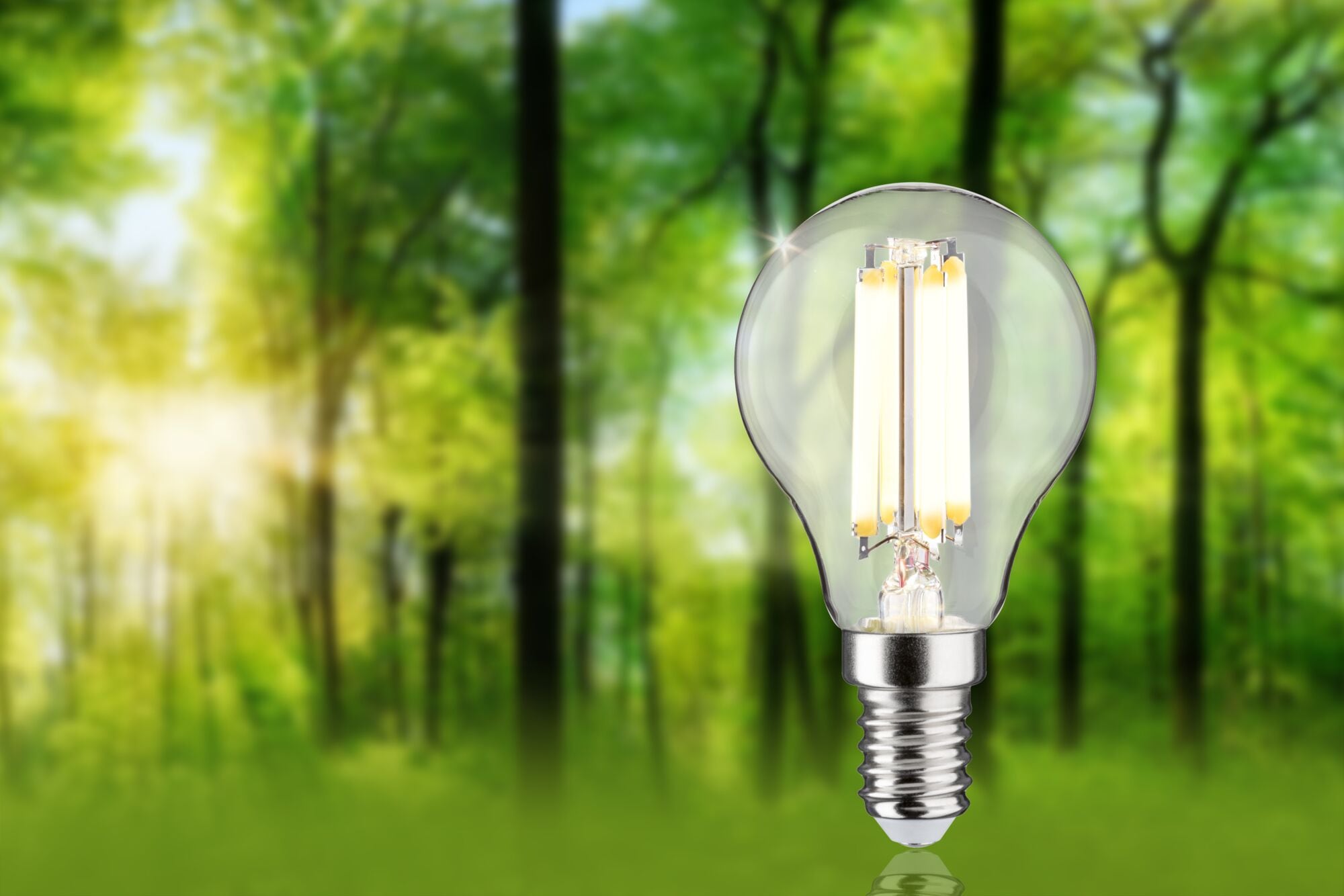 Paulmann LED-Leuchtmittel »Eco-Line Filament 230V LED Tropfen E14 1er-Set 525lm 2,5W 3000K Klar«, E14, 1 St., Warmweiß