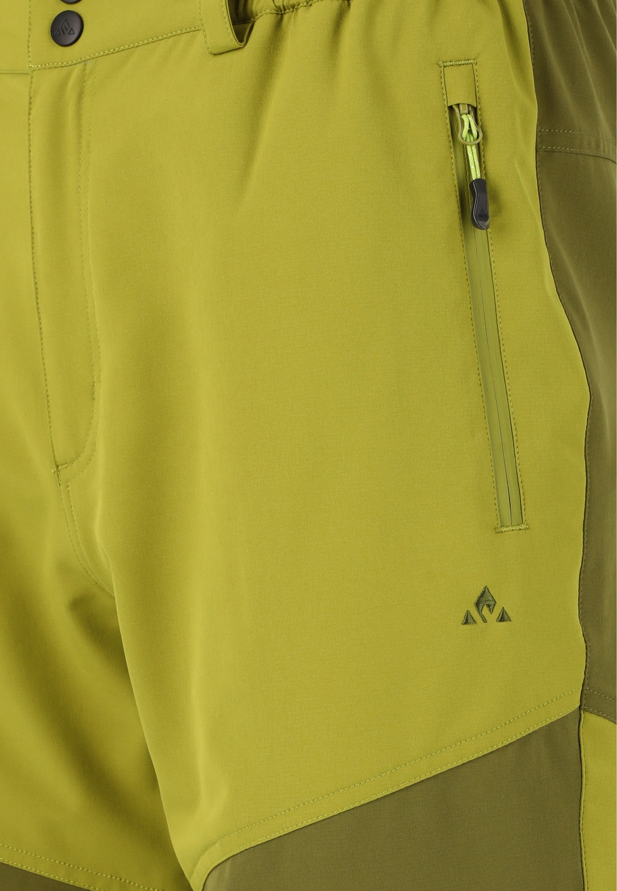 WHISTLER Shorts »AVIAN M ACTIV STRETCH«, mit komfortablem Funktionsstretch