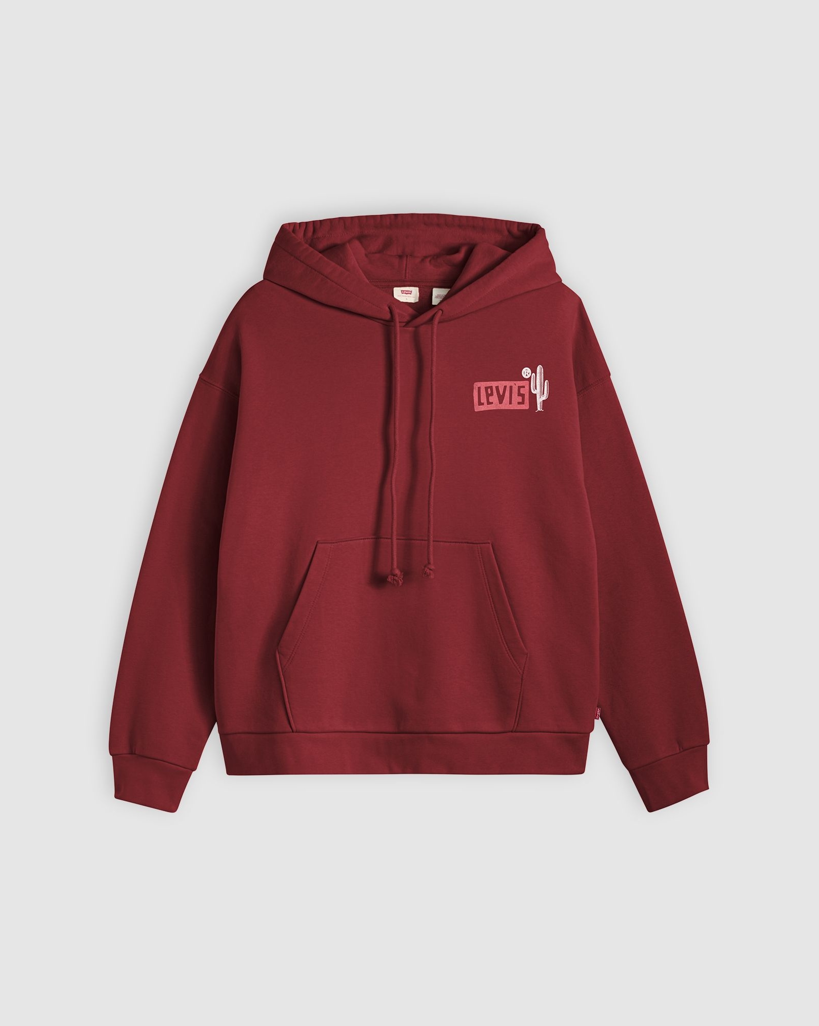 Levi's® Hoodie »LSE GRPHC SALINAS«, Beidseitig bedruckt