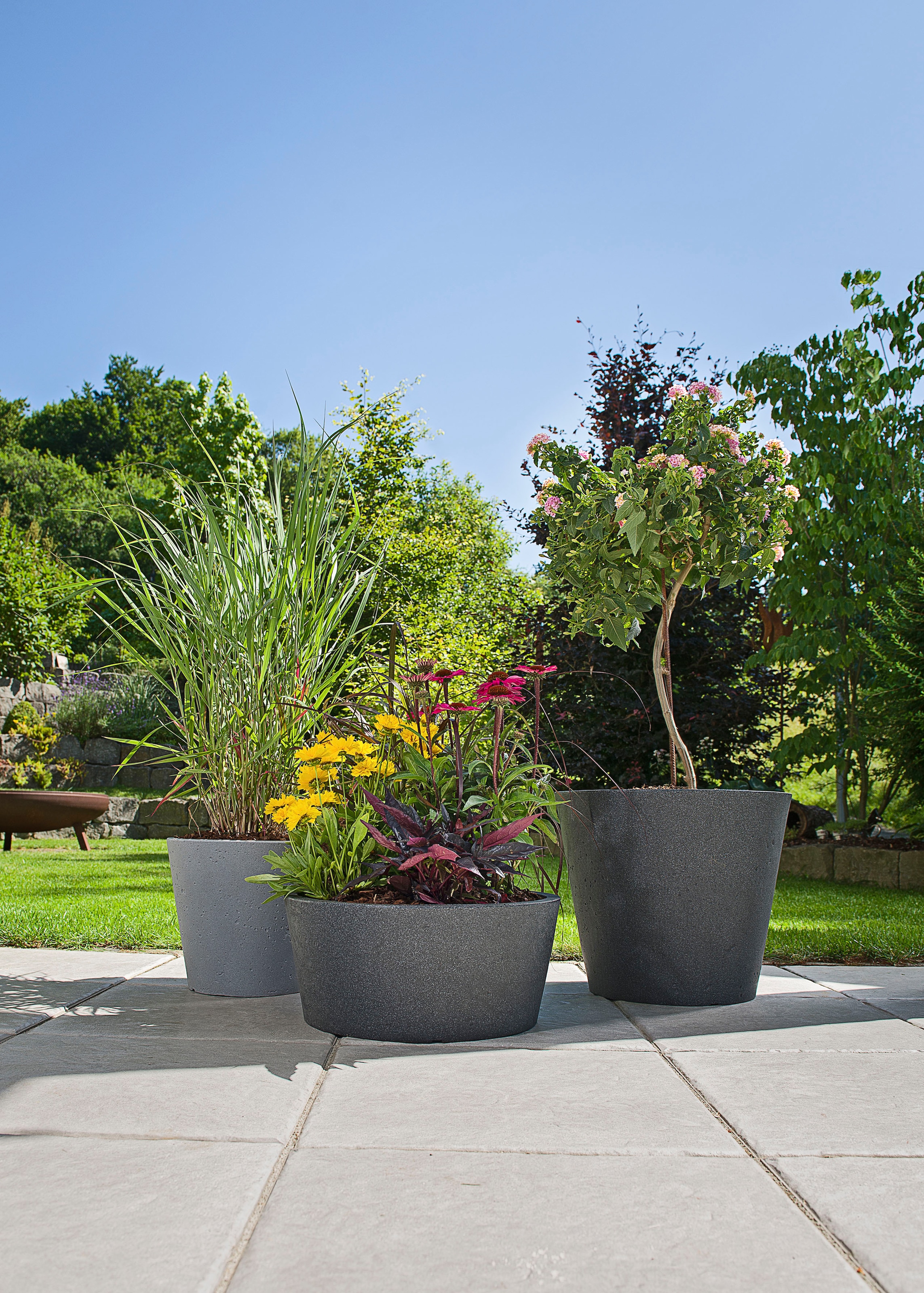 Scheurich Blumentopf »30/238 C-CONE 30«