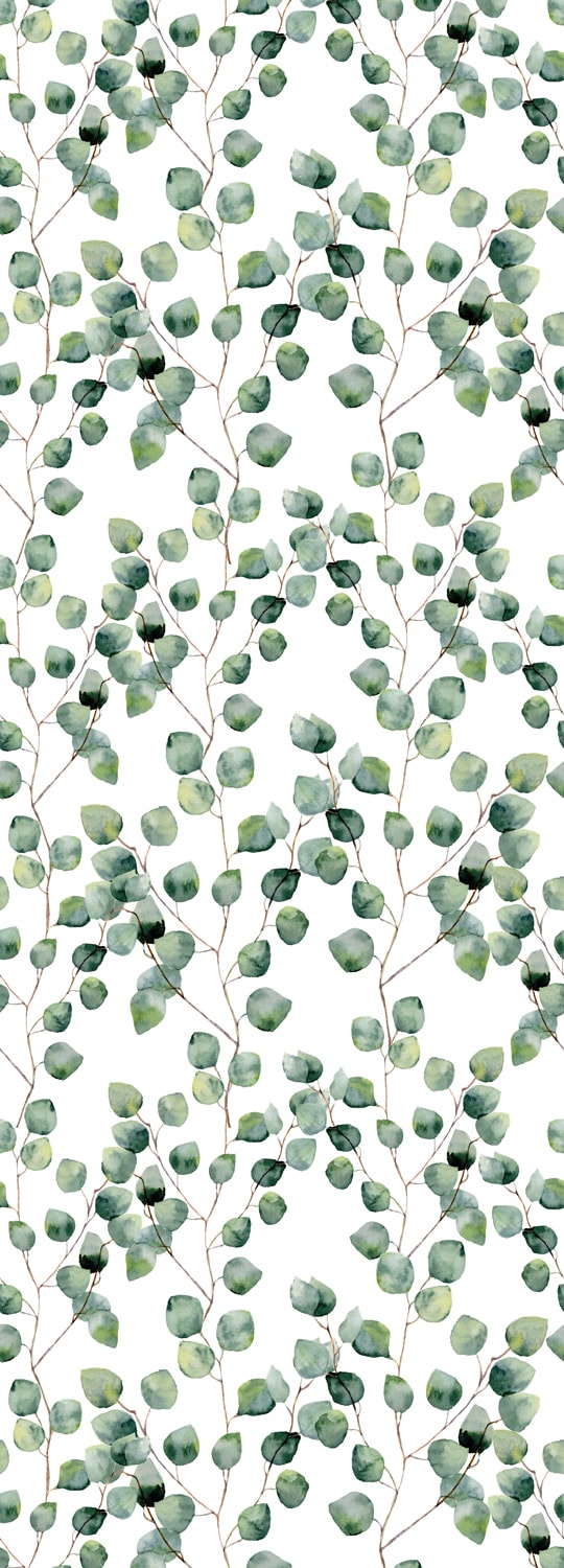 queence Vinyltapete »Blätter - Eukalyptus«, Selbstklebende Tapete 90x250cm  mit herbstlichem Motiv online kaufen | BAUR