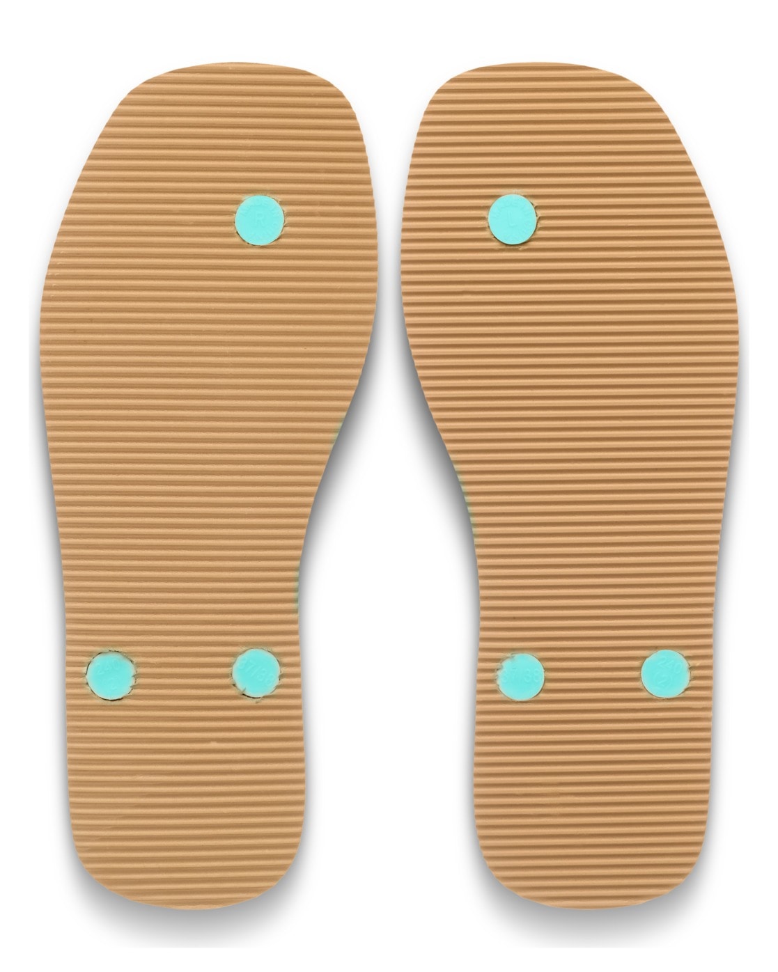 Roxy Sandale »Arizona Dreams«