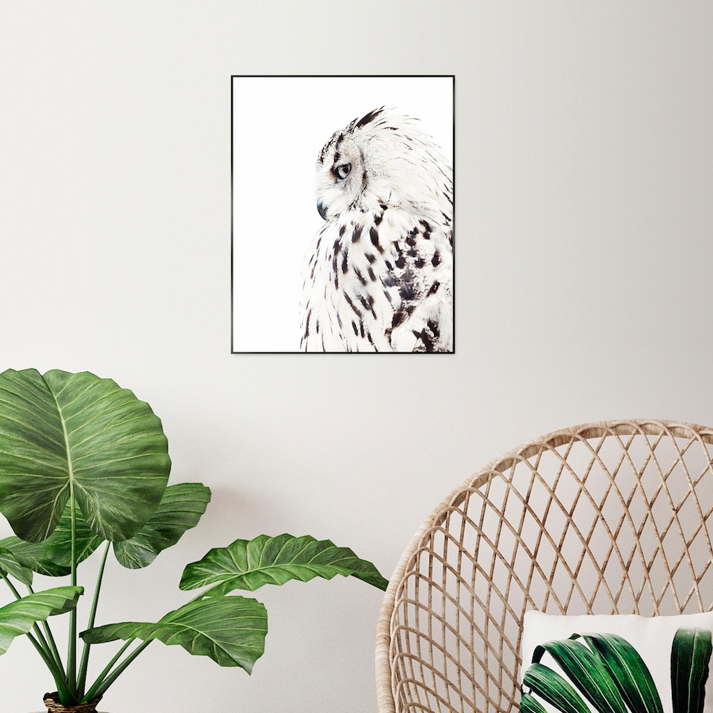 Reinders! Bild mit Rahmen »White Owl«, (1 St.)