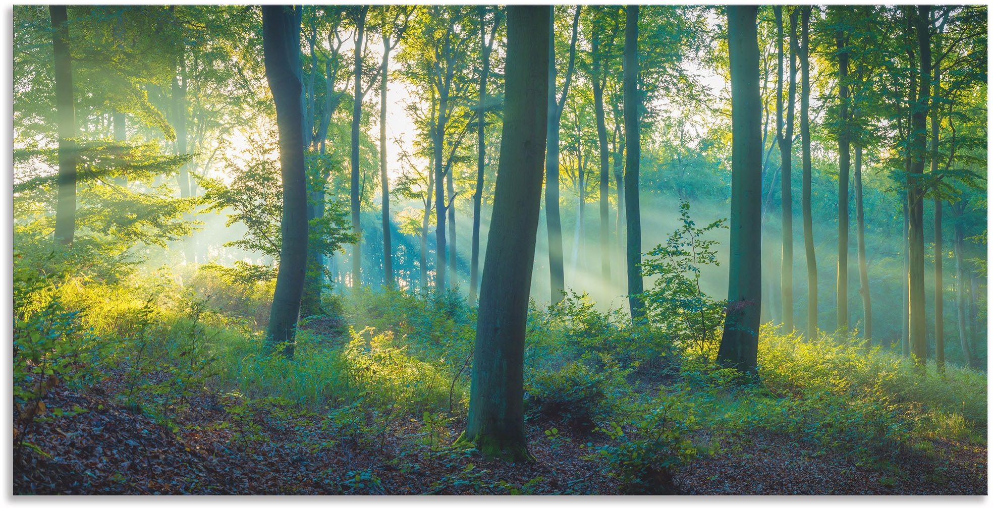 Artland Wandbild "Wald Panorama", Waldbilder, (1 St.), als Alubild, Outdoor günstig online kaufen