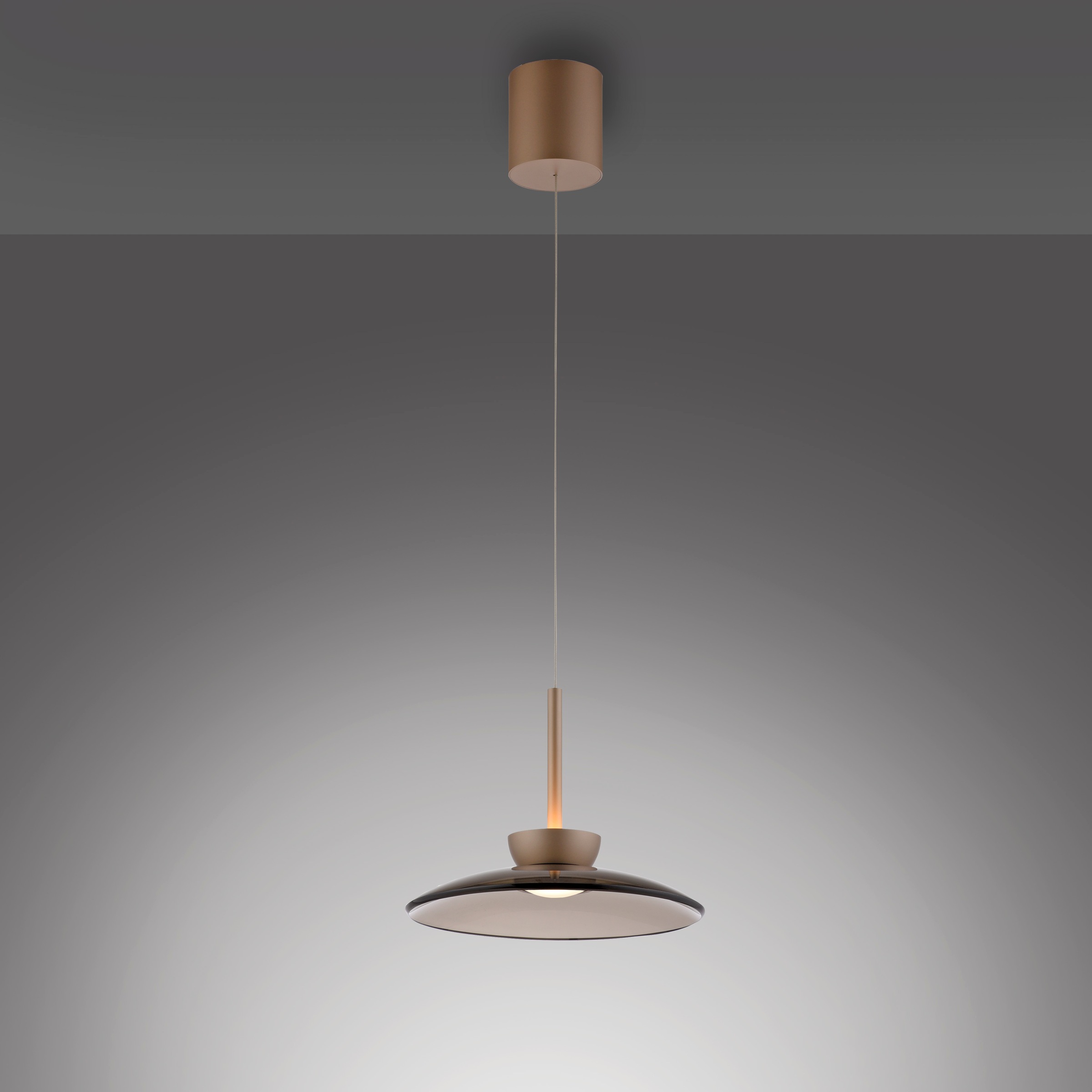 Neuhaus PURE LED Pendelleuchte »PURE Moon« LED-Board 1 Stk. Warmweiß Comfort Lift, dimmfähig über separaten Tronicdimmer