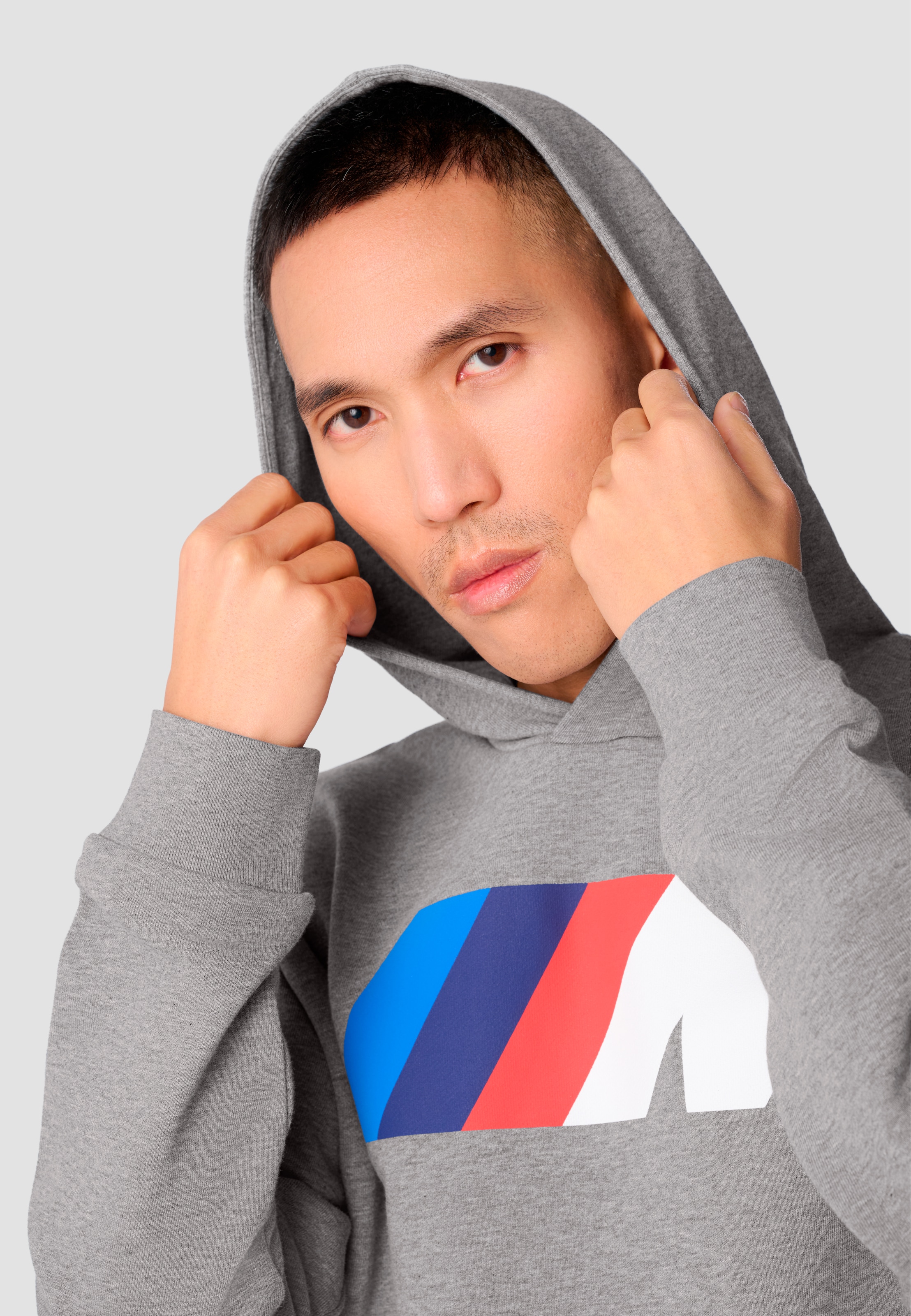 BMW Hoodie, (-), mit BMW M Logo Puff-Druck auf der Brust