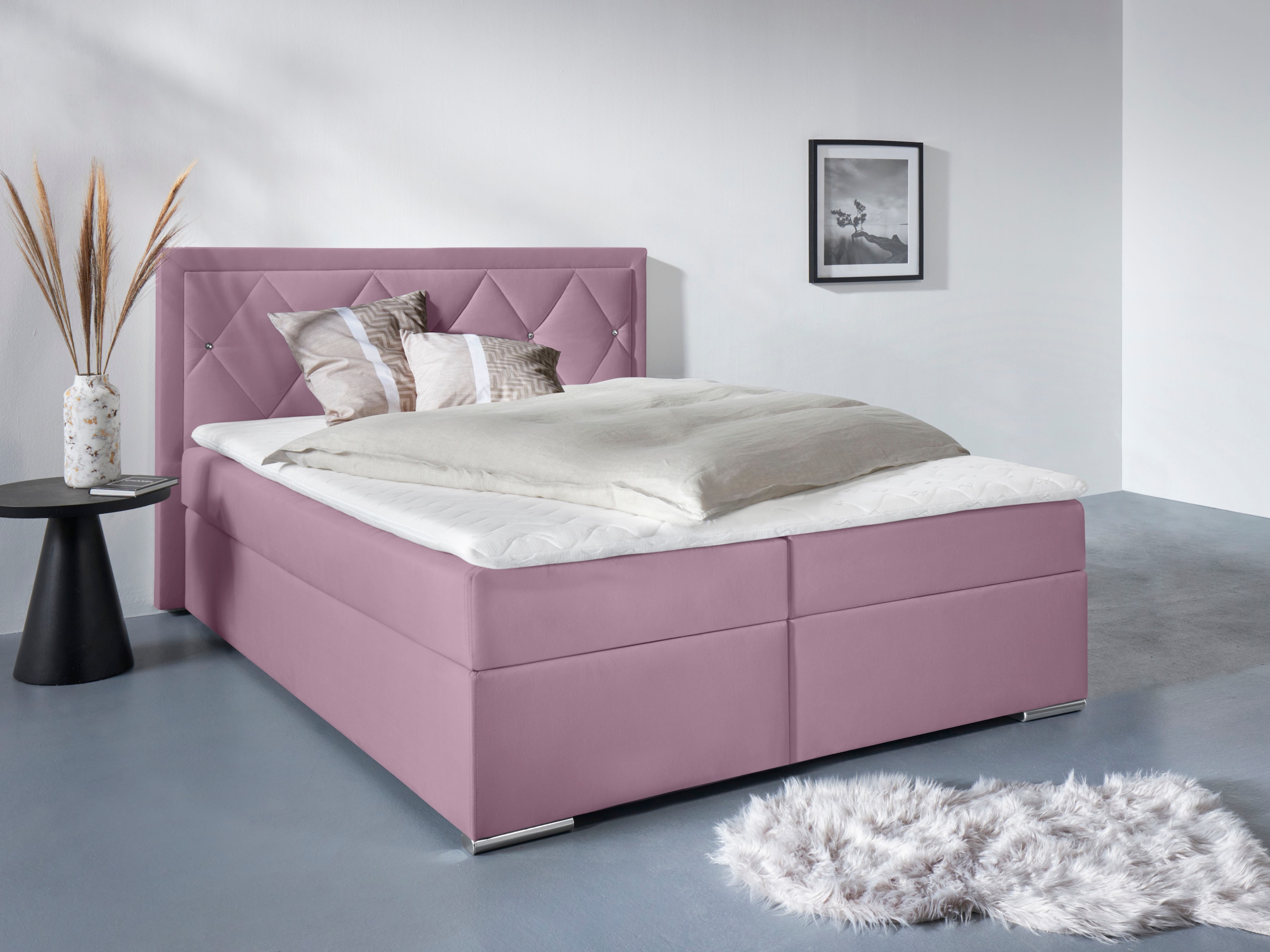 Home affaire "ALFIE, Polsterbett wahlweise mit Bettkasten, Samtvelours-Bezug" mit Bonnell-oder Taschenfederkernmatratze H2,H3, H4, 120/140/180x200cm