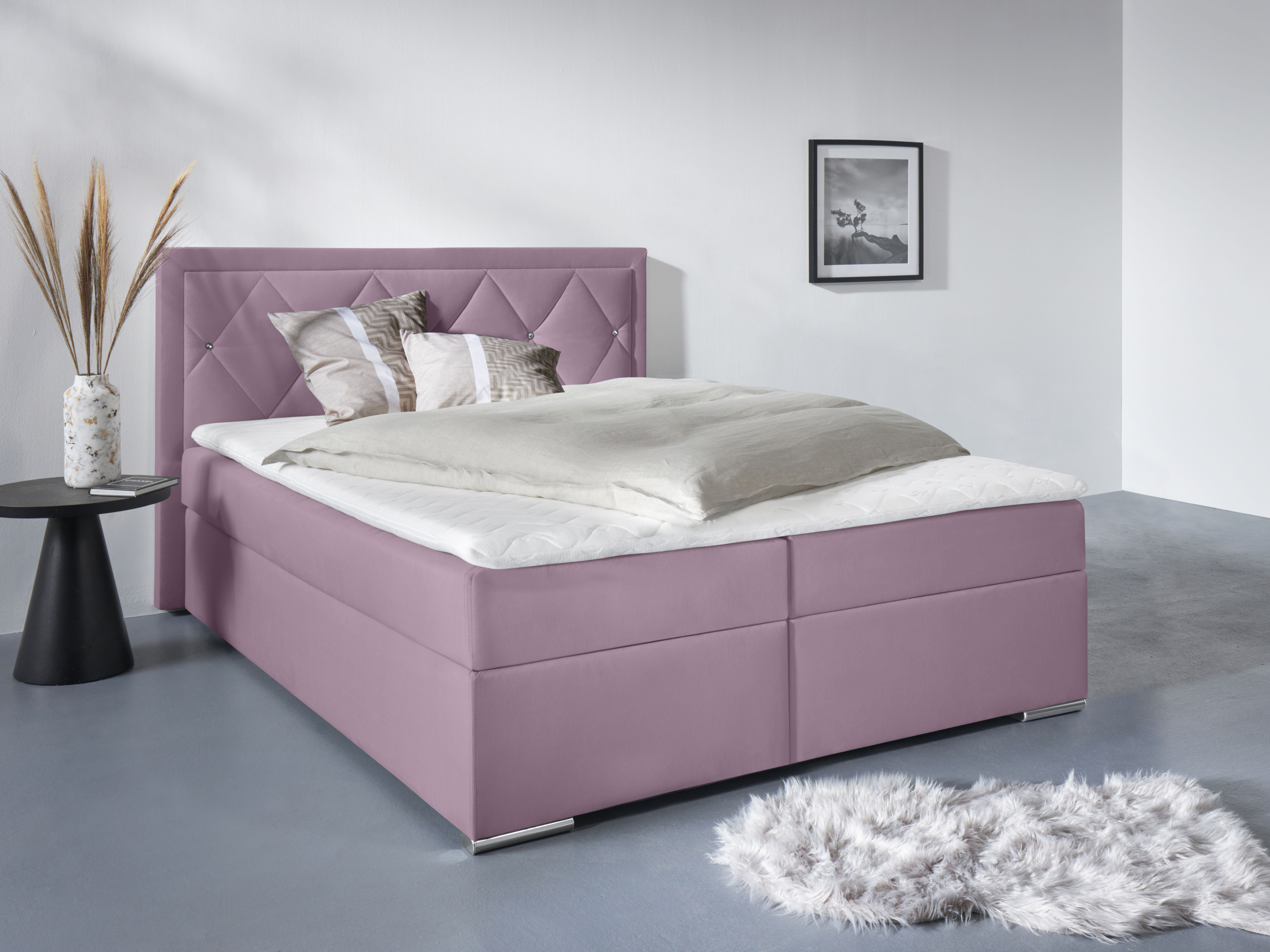Home affaire Boxbett "ALFIE, Polsterbett wahlweise mit Bettkasten, Samtvelours-Bezug" mit Bonnell-oder Taschenfederkernmatratze H2,H3, H4, 120/140/180x200cm