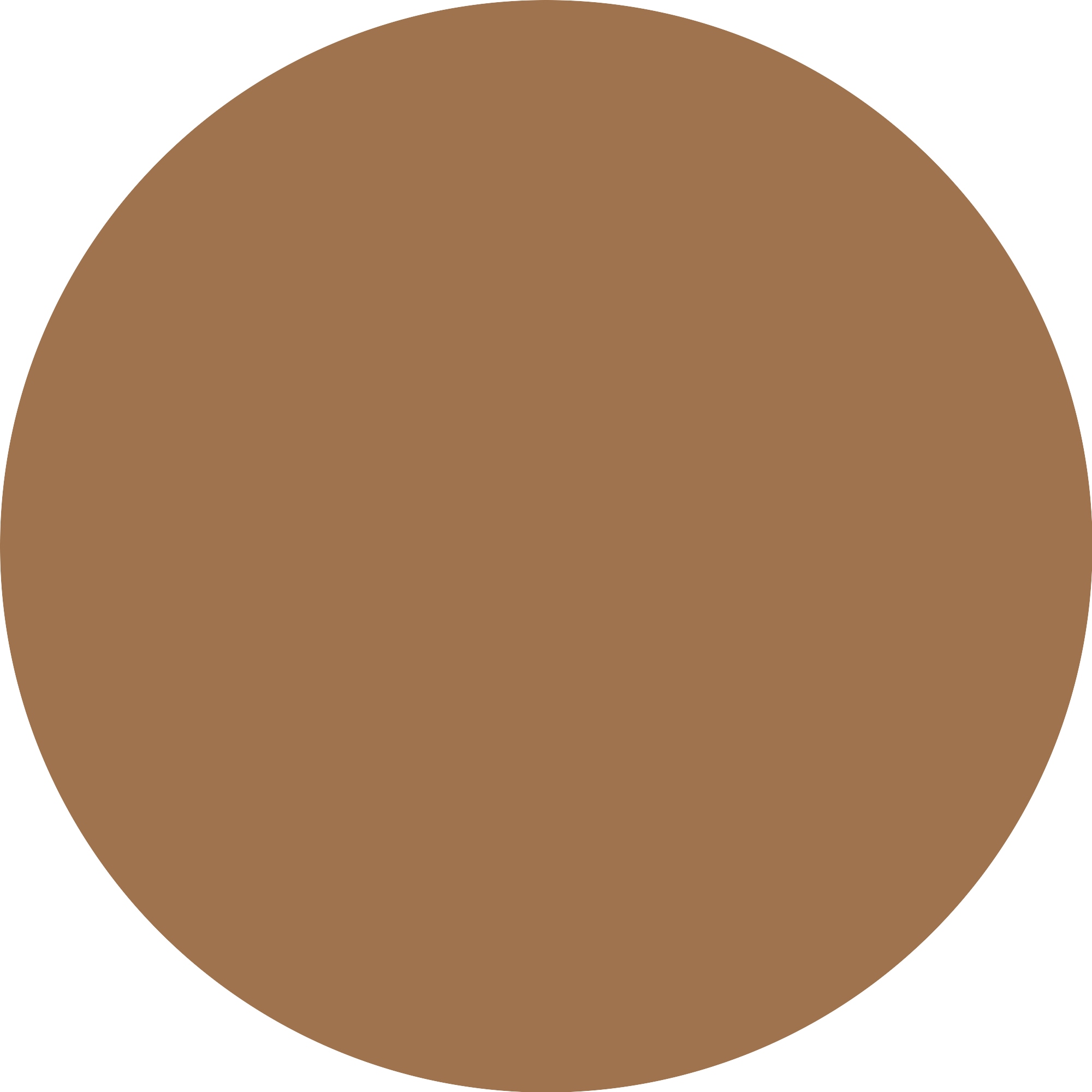 Essence Foundation »Silky BLUR HYDRATING LONGWEAR FOUNDATION«