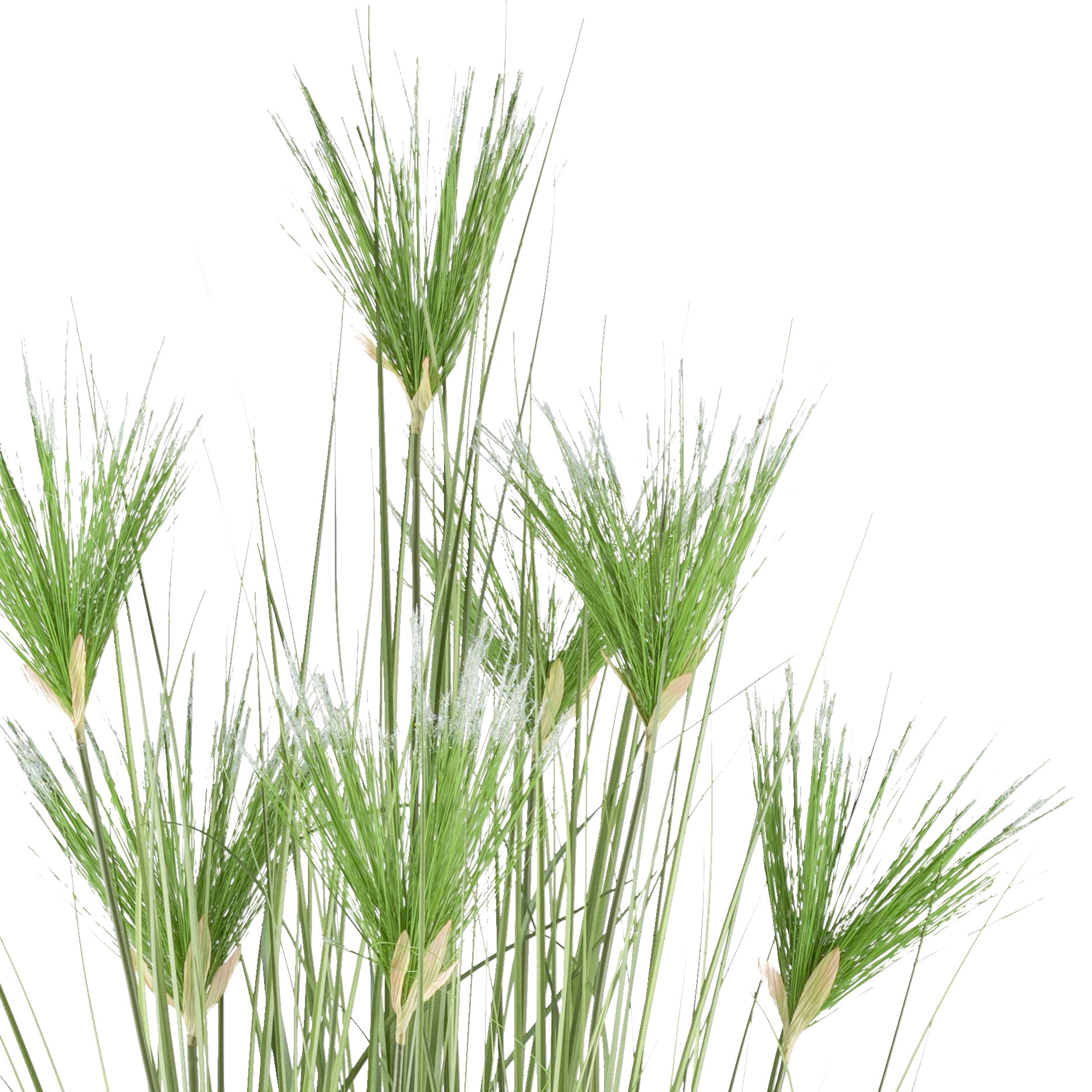 Creativ green Kunstgras »Zyperngras«, mit sieben Zyperngrasblüten