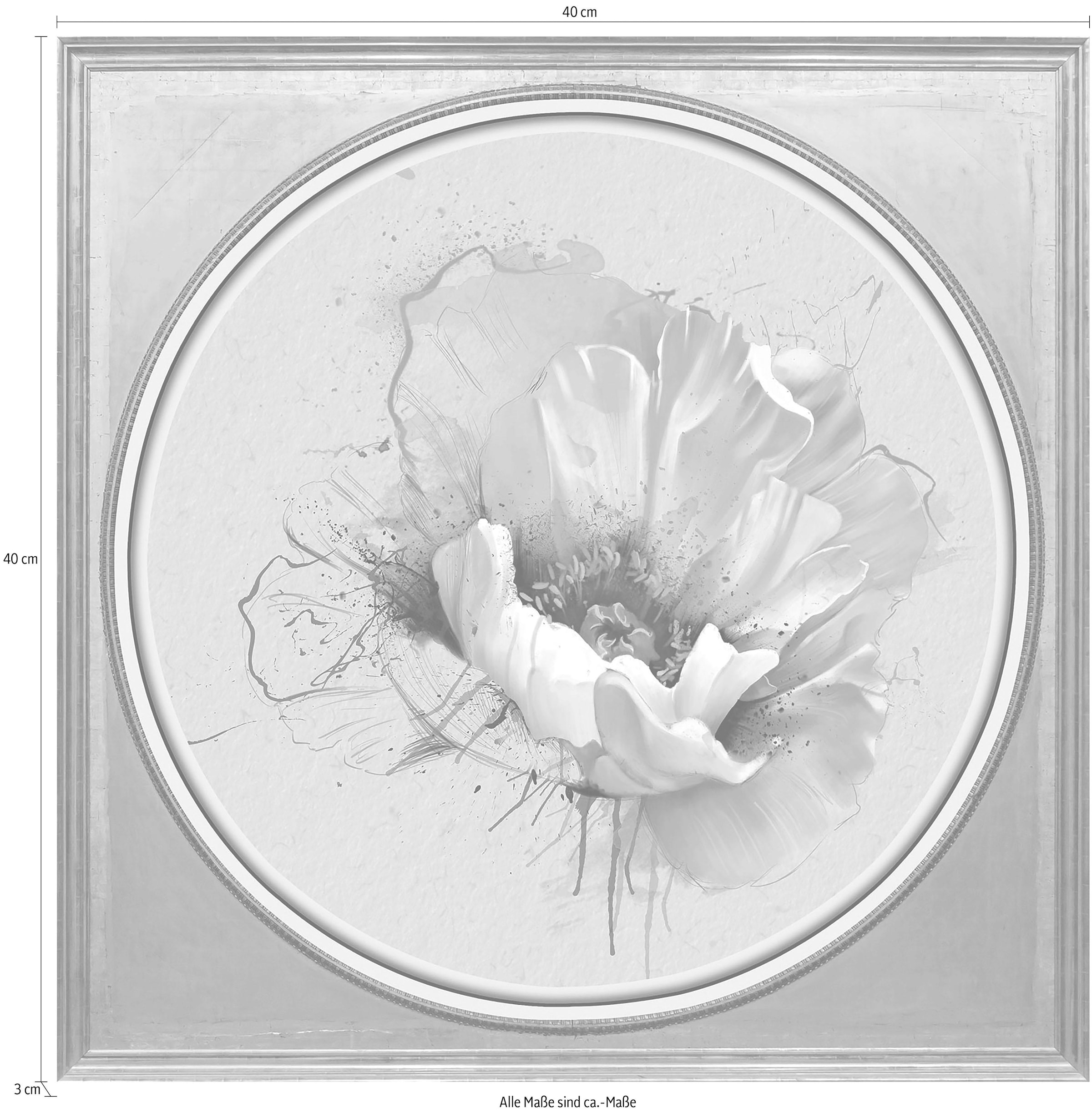queence Acrylglasbild »Weiße Blüte«, Blumen-Blumenbilder-Kunst-Pflanzen-Pflanzenbilder-Gemälde, Fine Art-Print in Galeriequalität