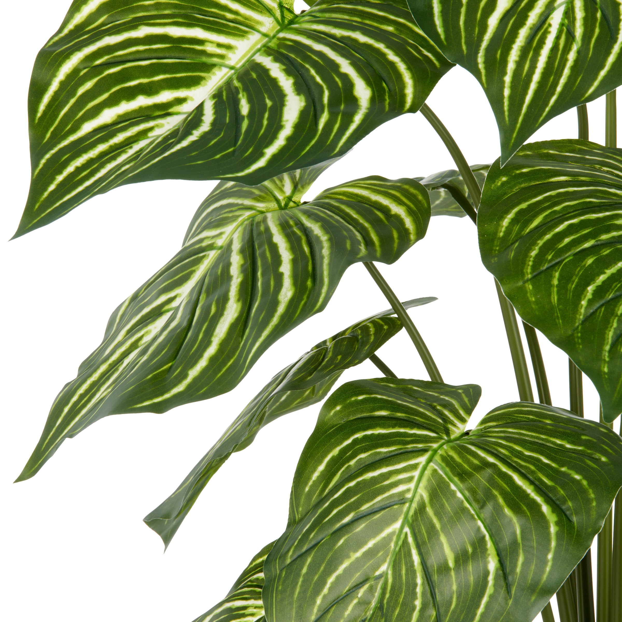Creativ green Kunstpflanze »Philodendron Birkin«, mit naturgetreuem Blattwerk