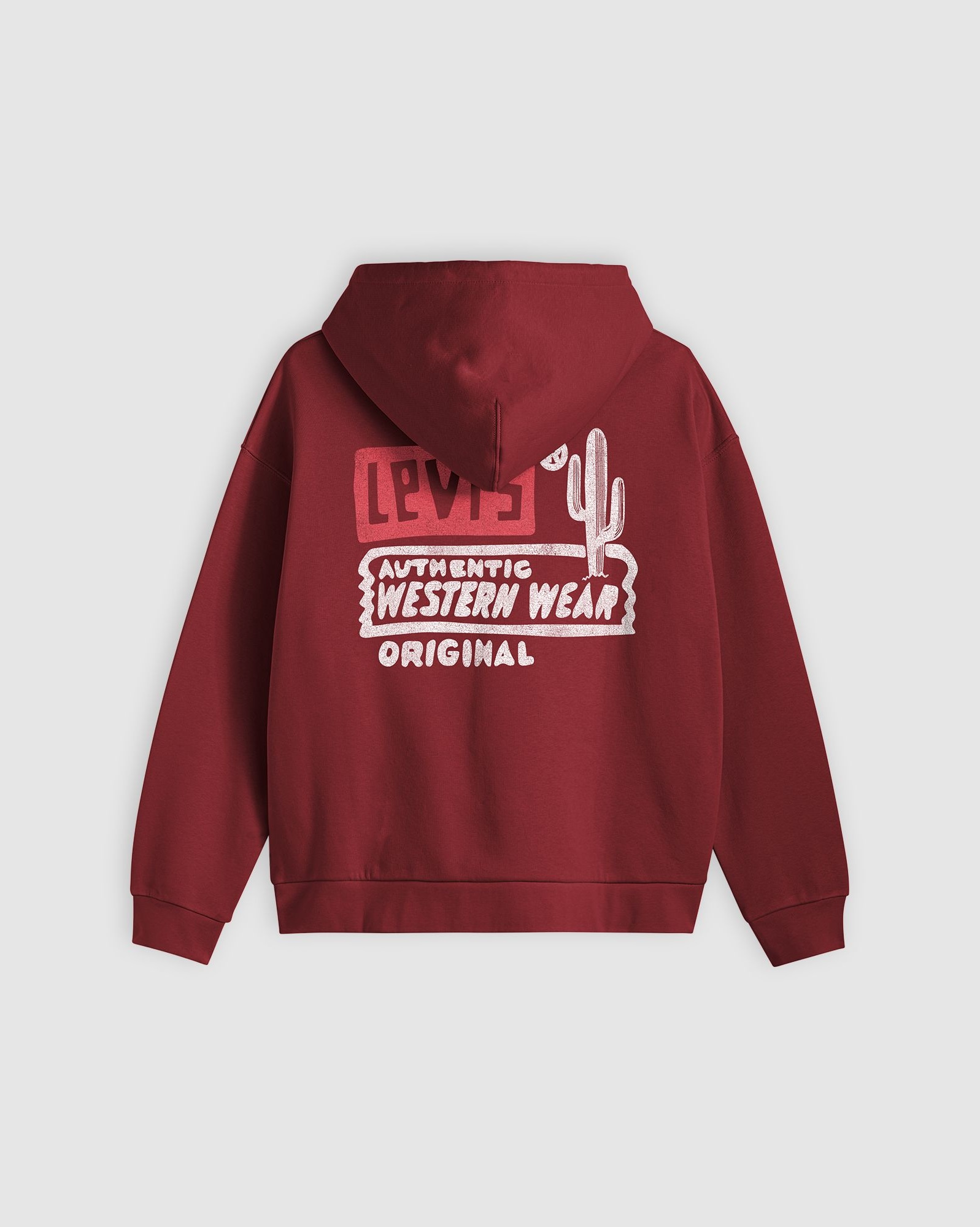 Levi's® Hoodie »LSE GRPHC SALINAS«, Beidseitig bedruckt