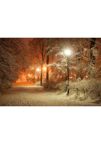 Papermoon Fototapetas »Park im Winter«