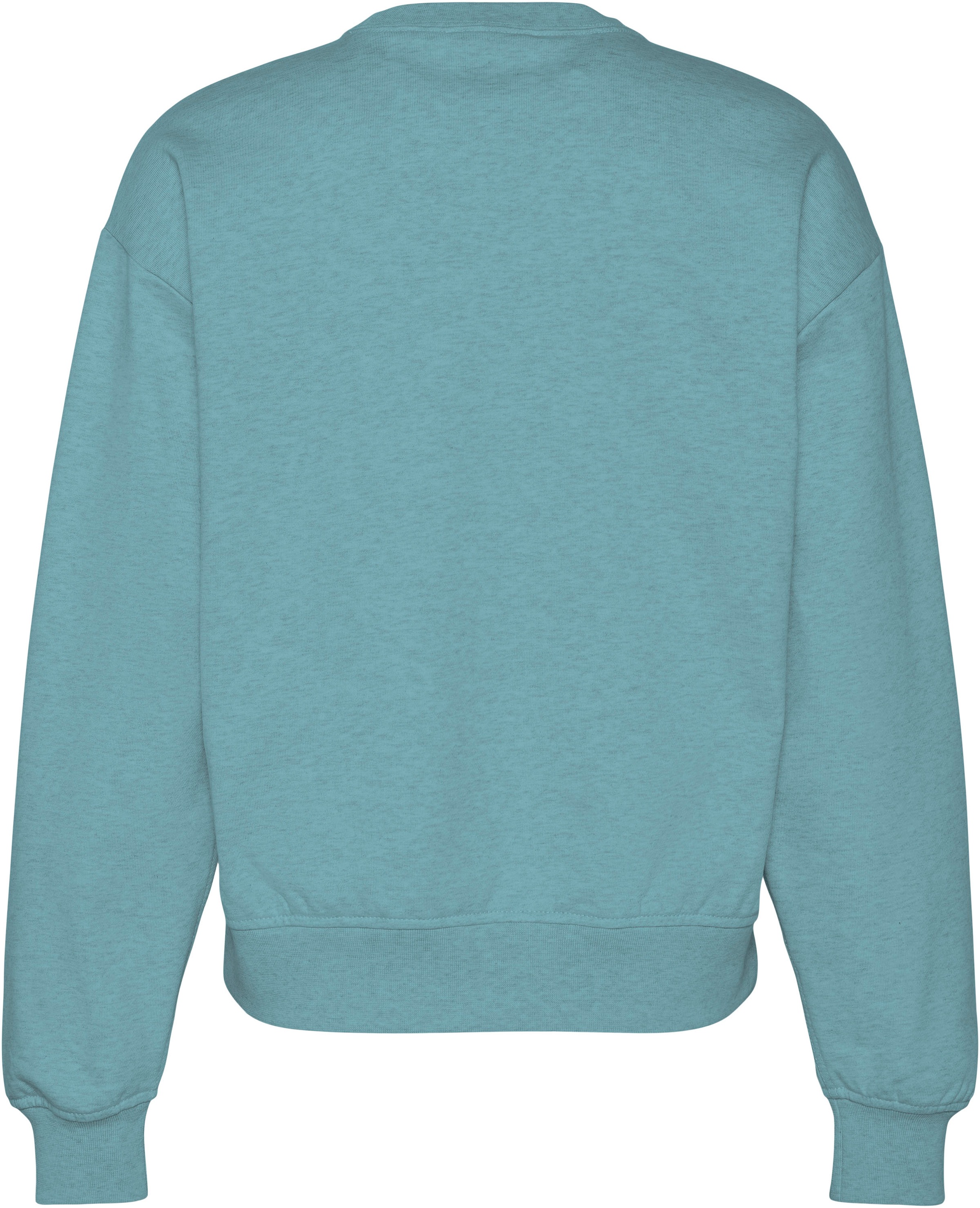 Calvin Klein Jeans Sweatshirt "LS MONOLOGO FRENCH TERRY RLXD CR", Logoschri günstig online kaufen
