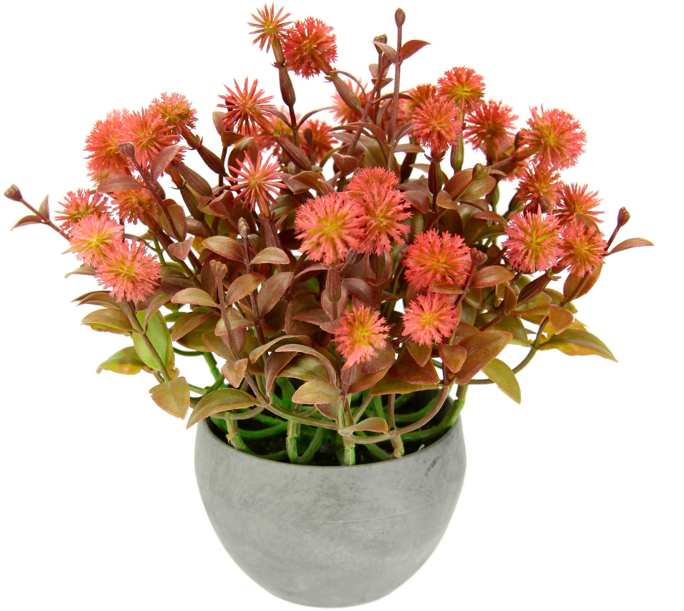 Busch BAUR Pflanze Deko kaufen Tischdeko | Topf«, I.GE.A. Kunstblumen Blumen Künstliche im Blütenbusch Kunstpflanze »Margerite