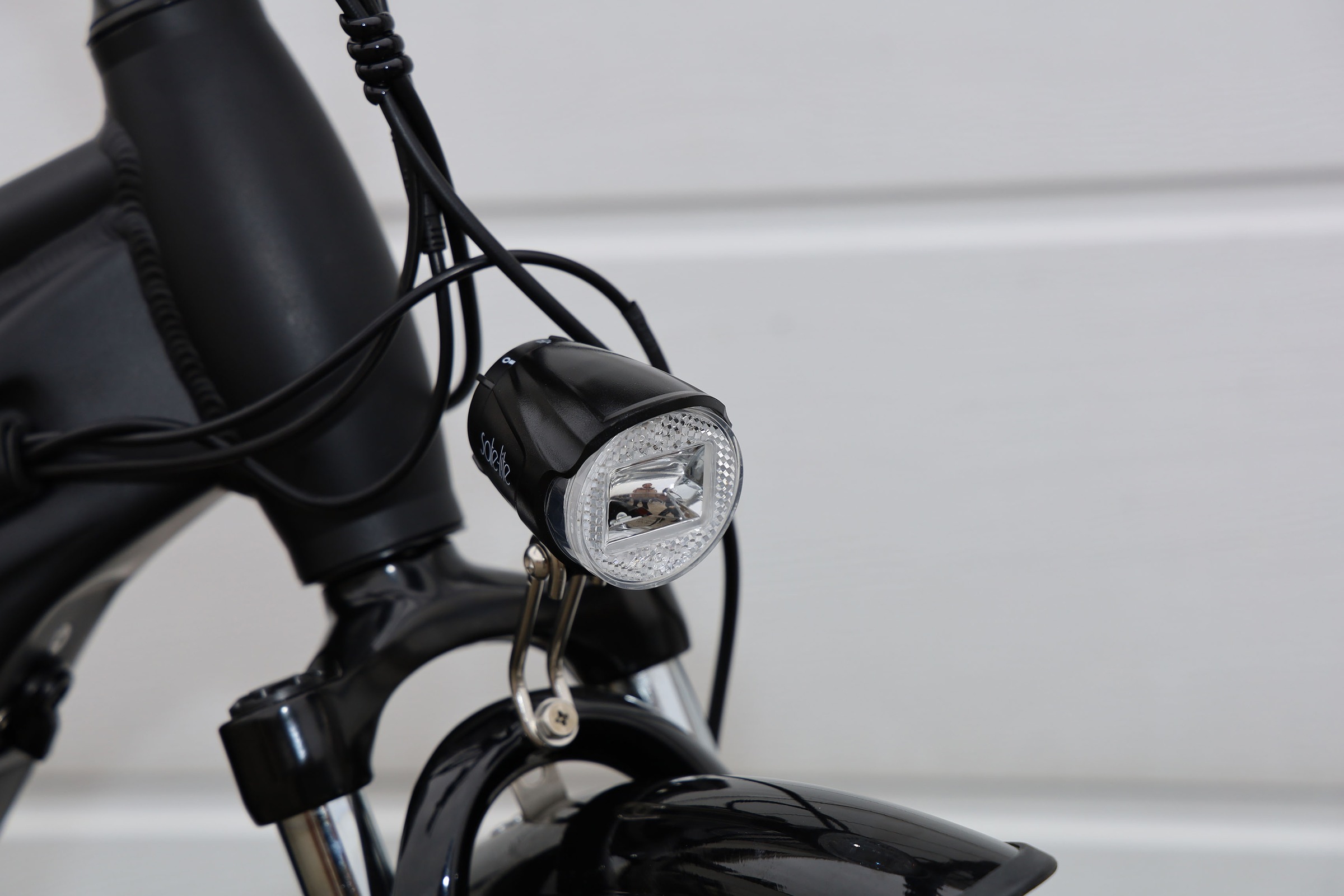 Maxtron E-Bike »MT 14X«, 8 Gang, Shimano, Mittelmotor 250 W
