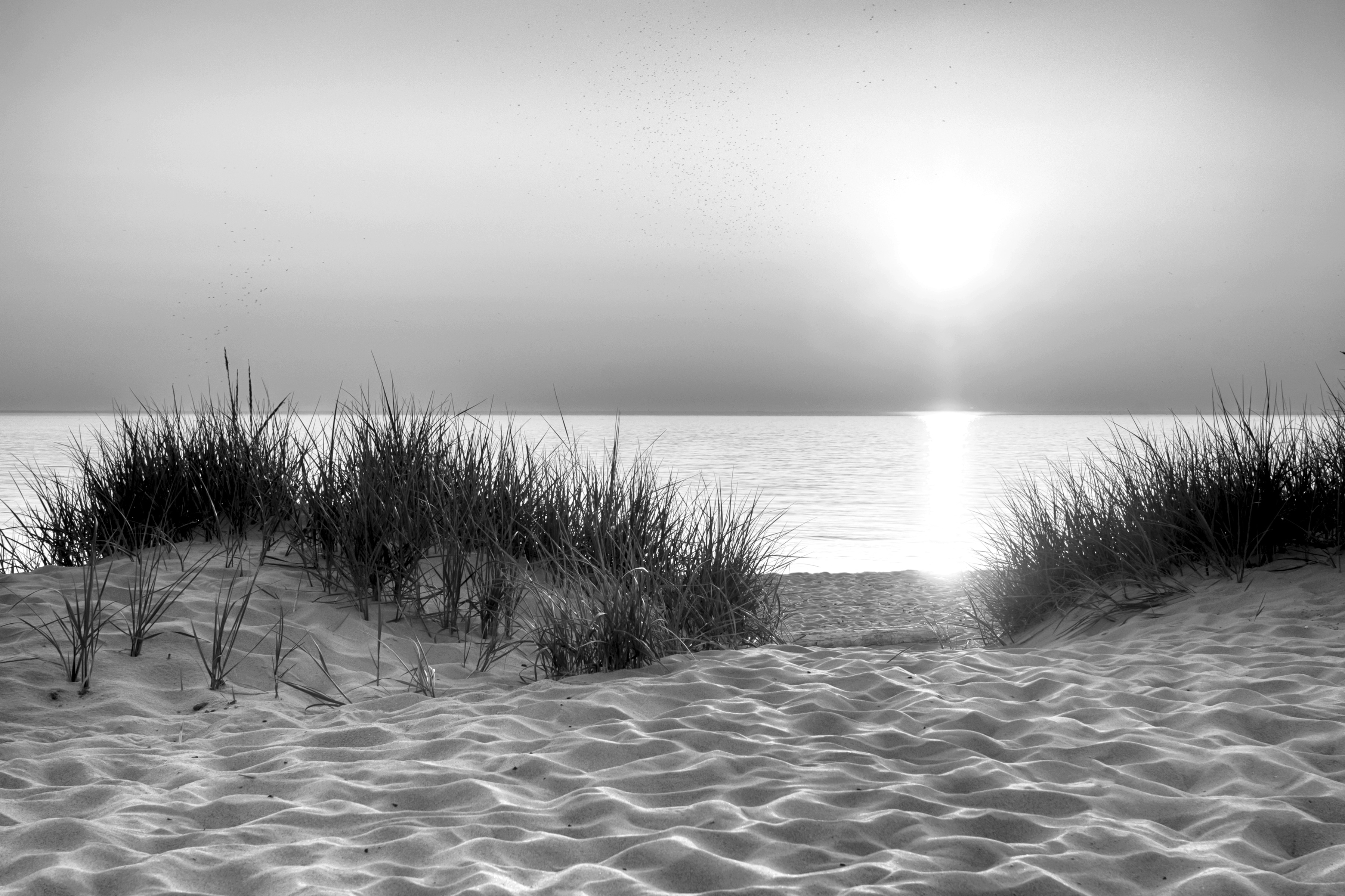 Papermoon Fototapete "Strand Schwarz & Weiß"