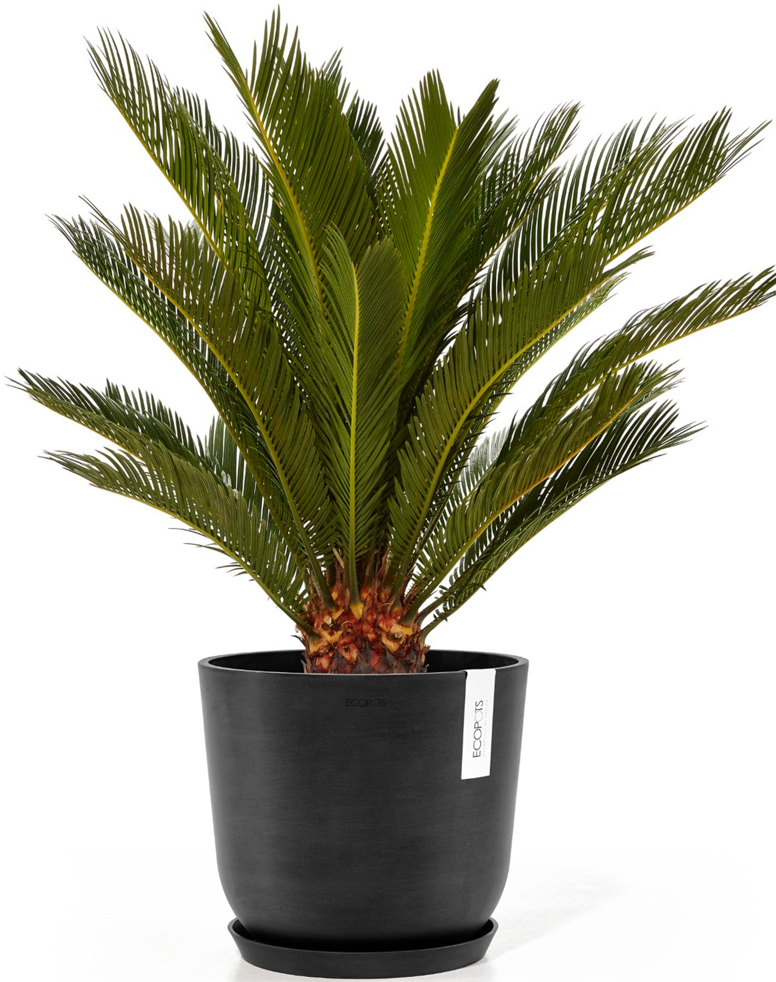 ECOPOTS Blumentopf »Oslo 25 + Wassersystem Dunkelgrau«, für innen und außen: frostsicher, bruchsicher und lichtbeständig
