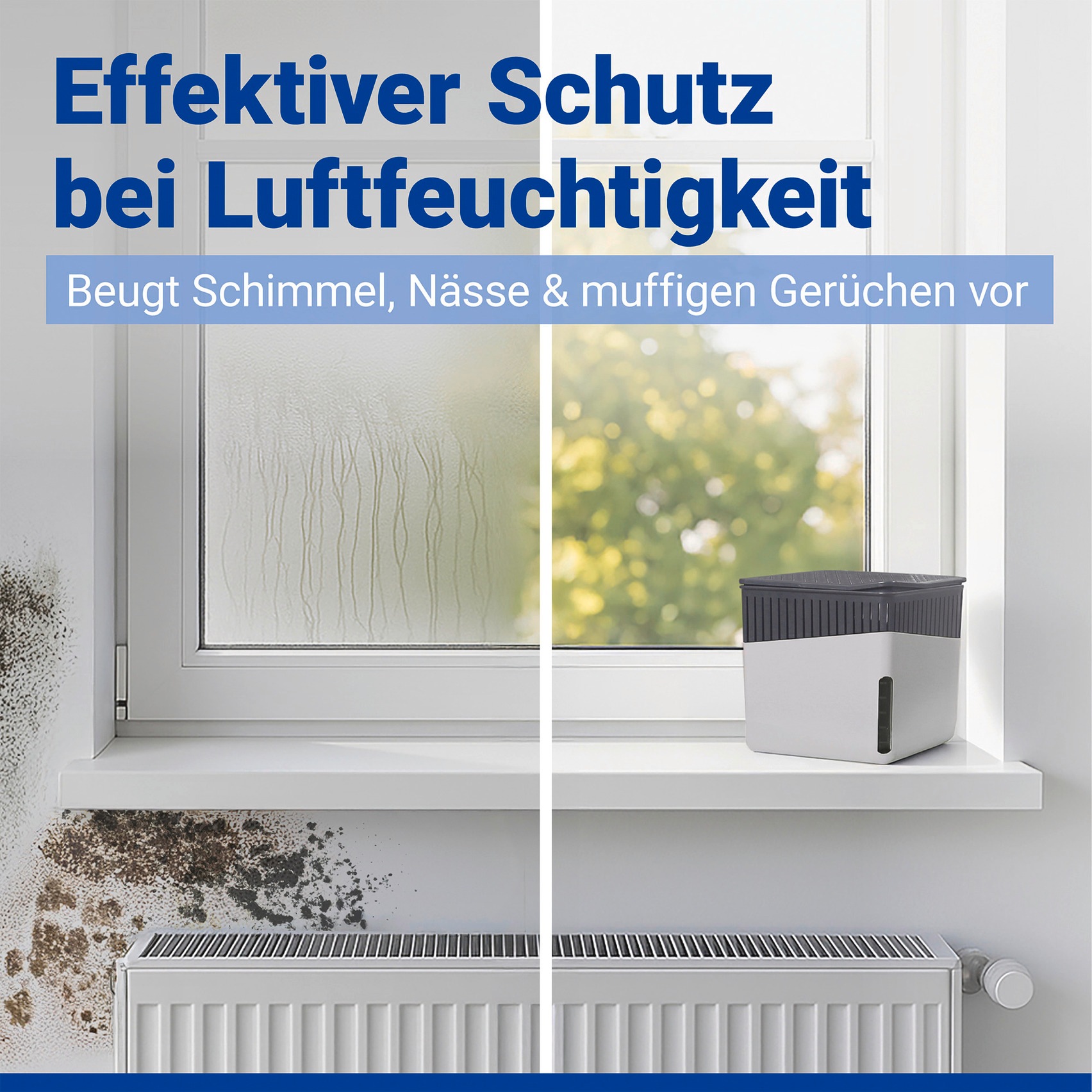 WENKO Luftentfeuchter »Cube« für 80 m³ Räume