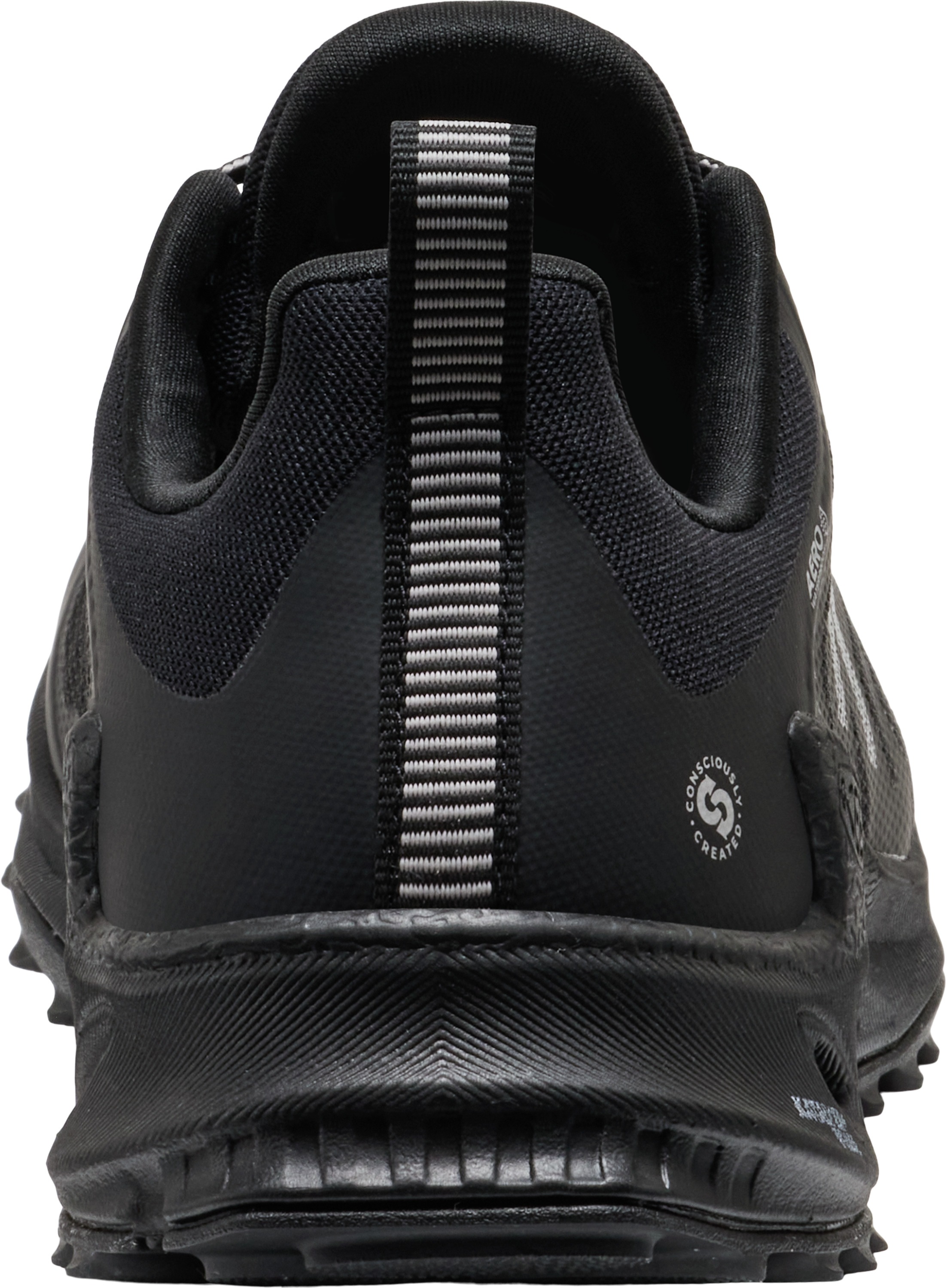 Keen Outdoorschuh »ZIONIC NXT WP«  wasserdicht