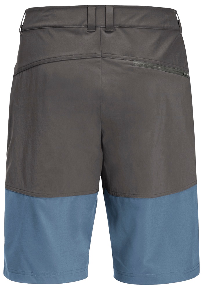 Jack Wolfskin Shorts »HIKING ALPINE SHORT M«