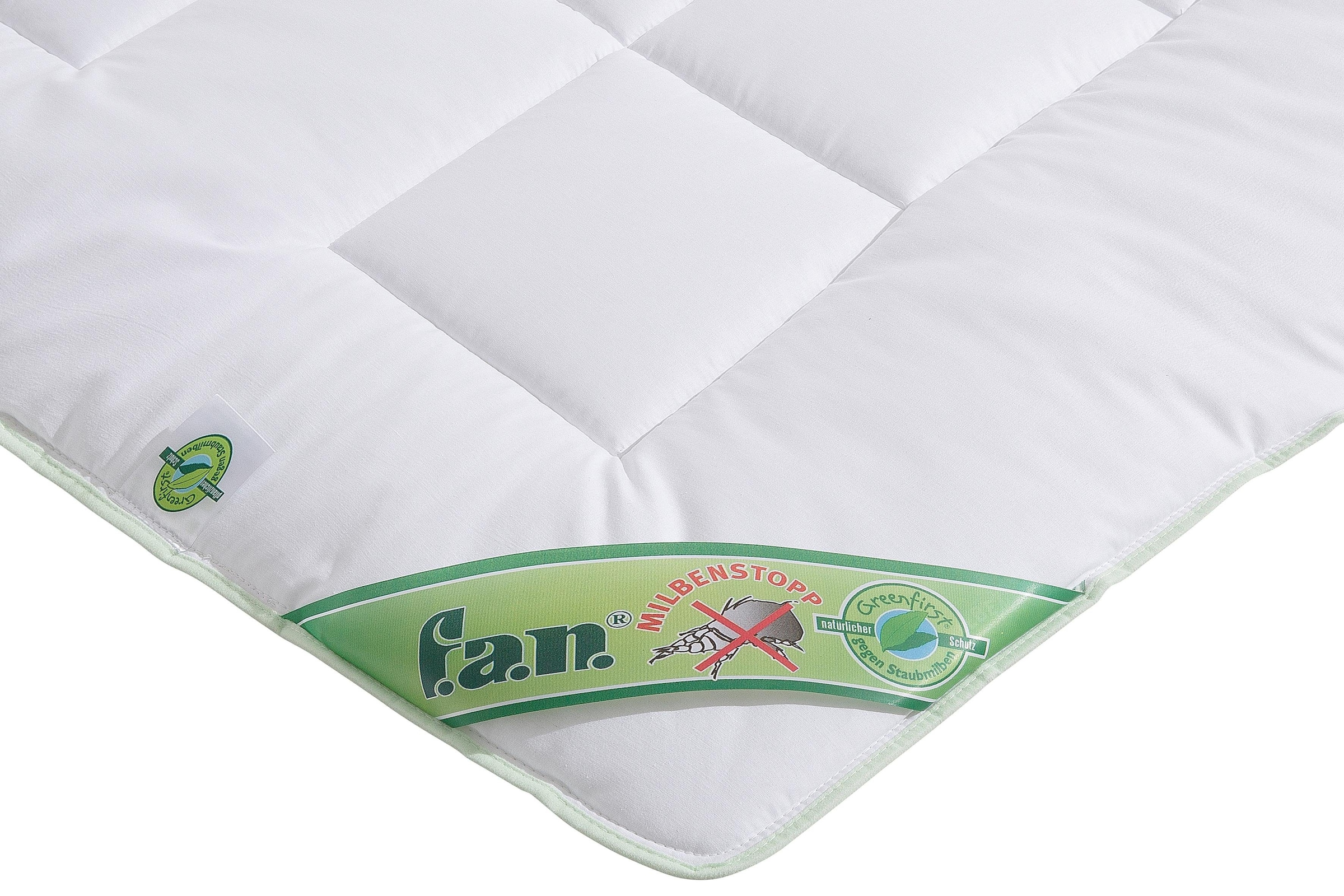fan Microfaserbettdecke + Kunstfaserkissen »Greenfirst«, (Spar-Set)