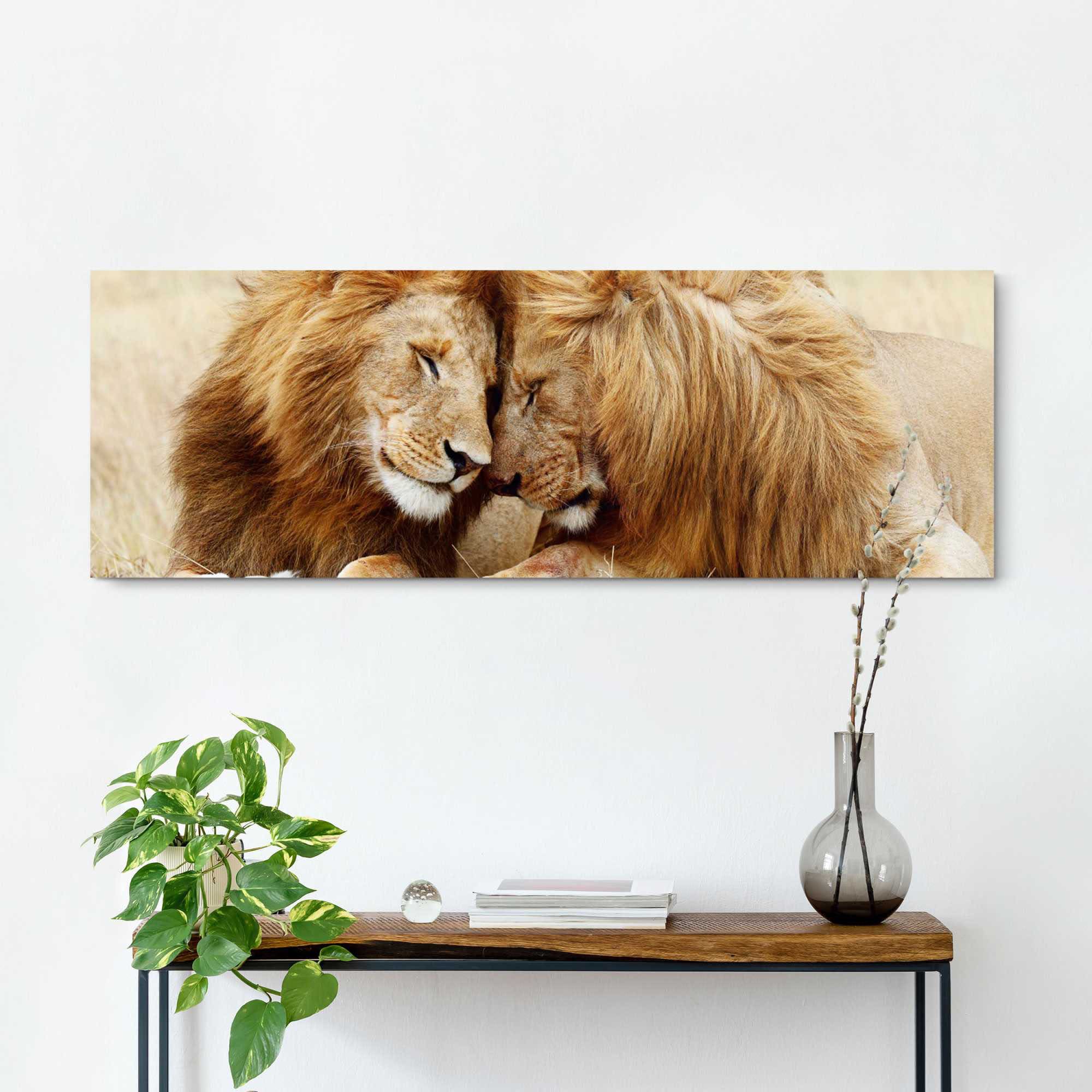 Reinders! Wandbild »Löwenliebe« | bestellen BAUR
