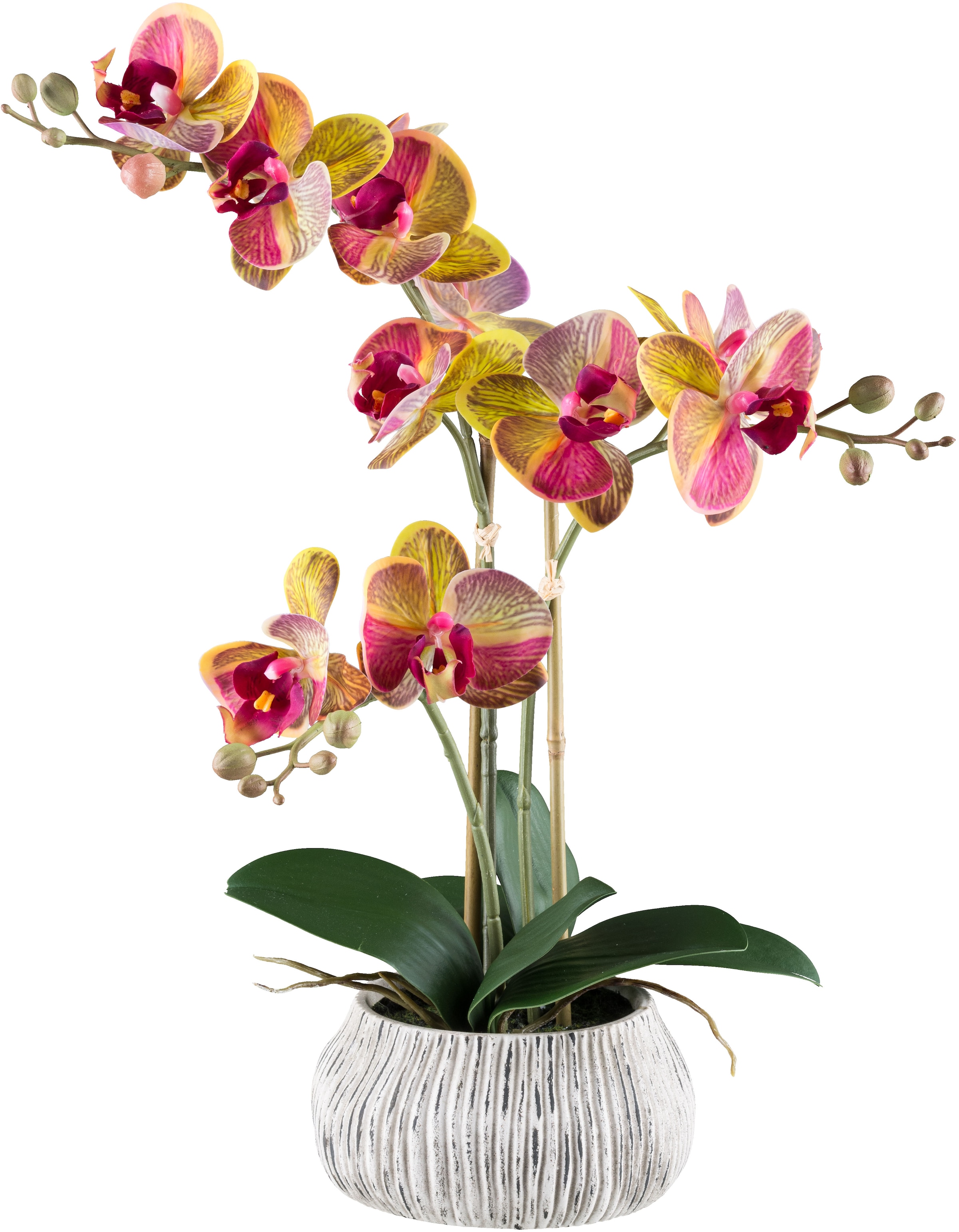 Kunstorchidee »Orchidee Phalaenopsis«, mit außergewöhnlicher Zementschale